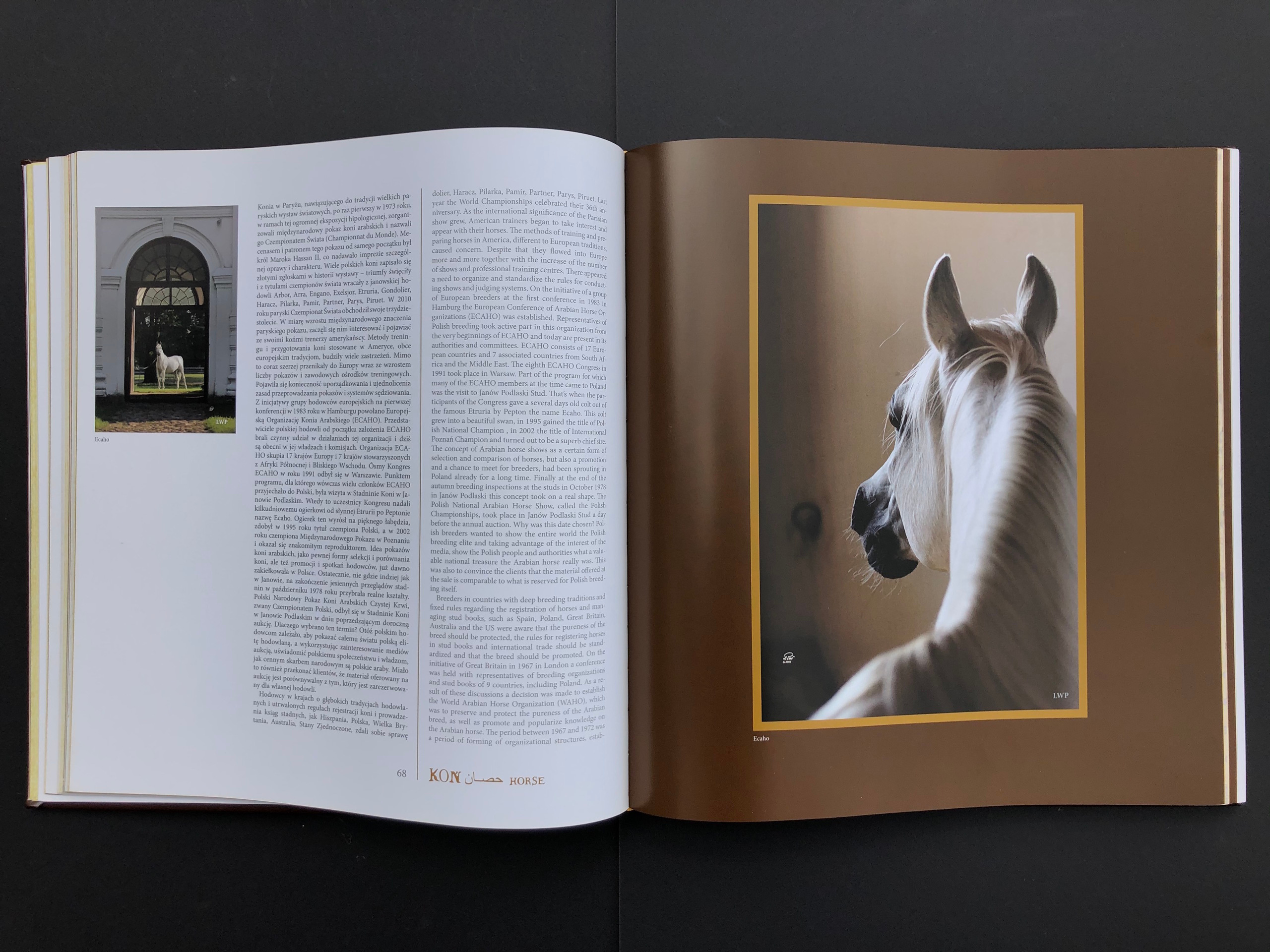 „KOŃ”. Andrzej Strumiłło - Wybitny polski artysta