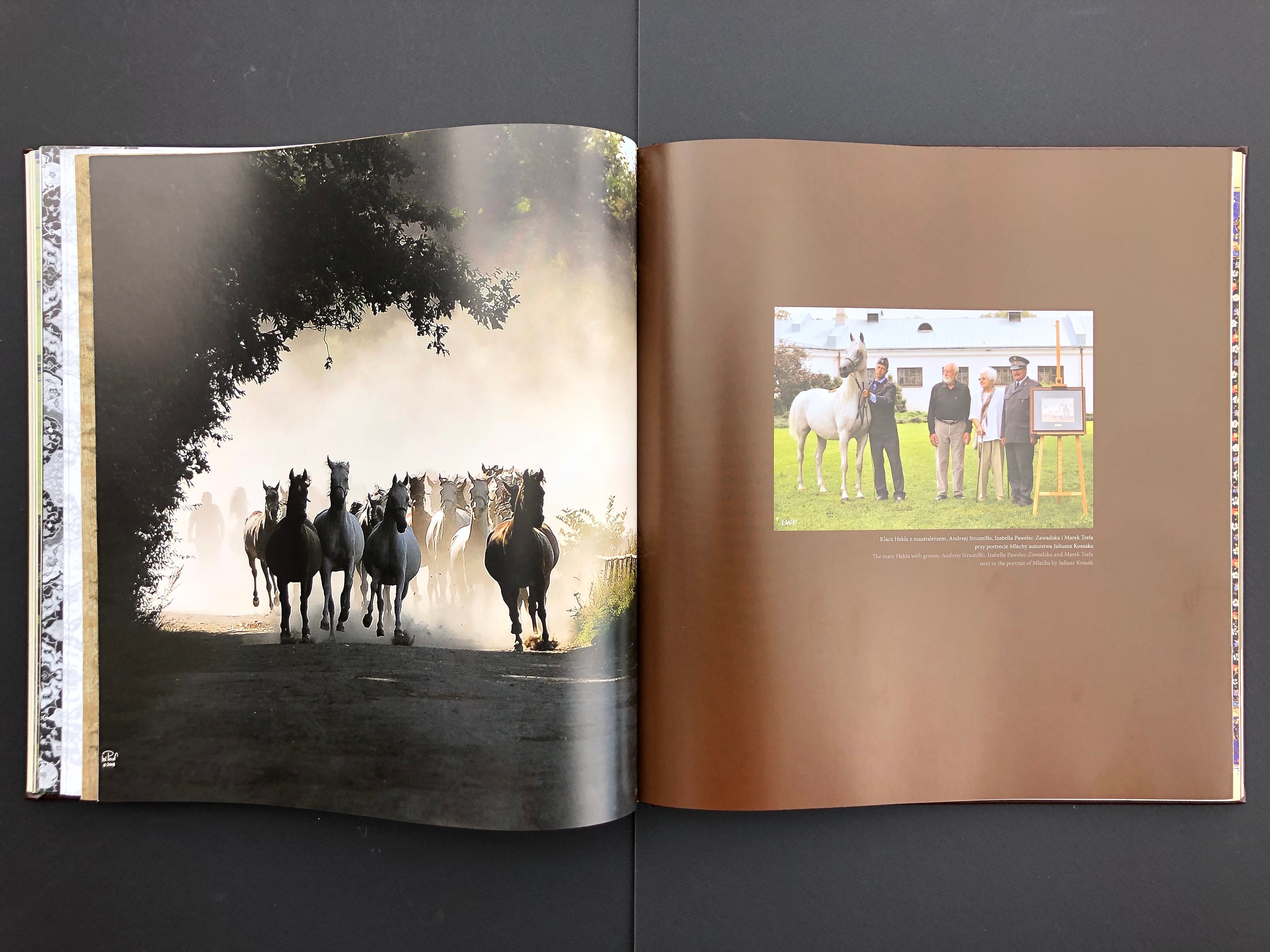 „KOŃ”. Andrzej Strumiłło - Wybitny polski artysta