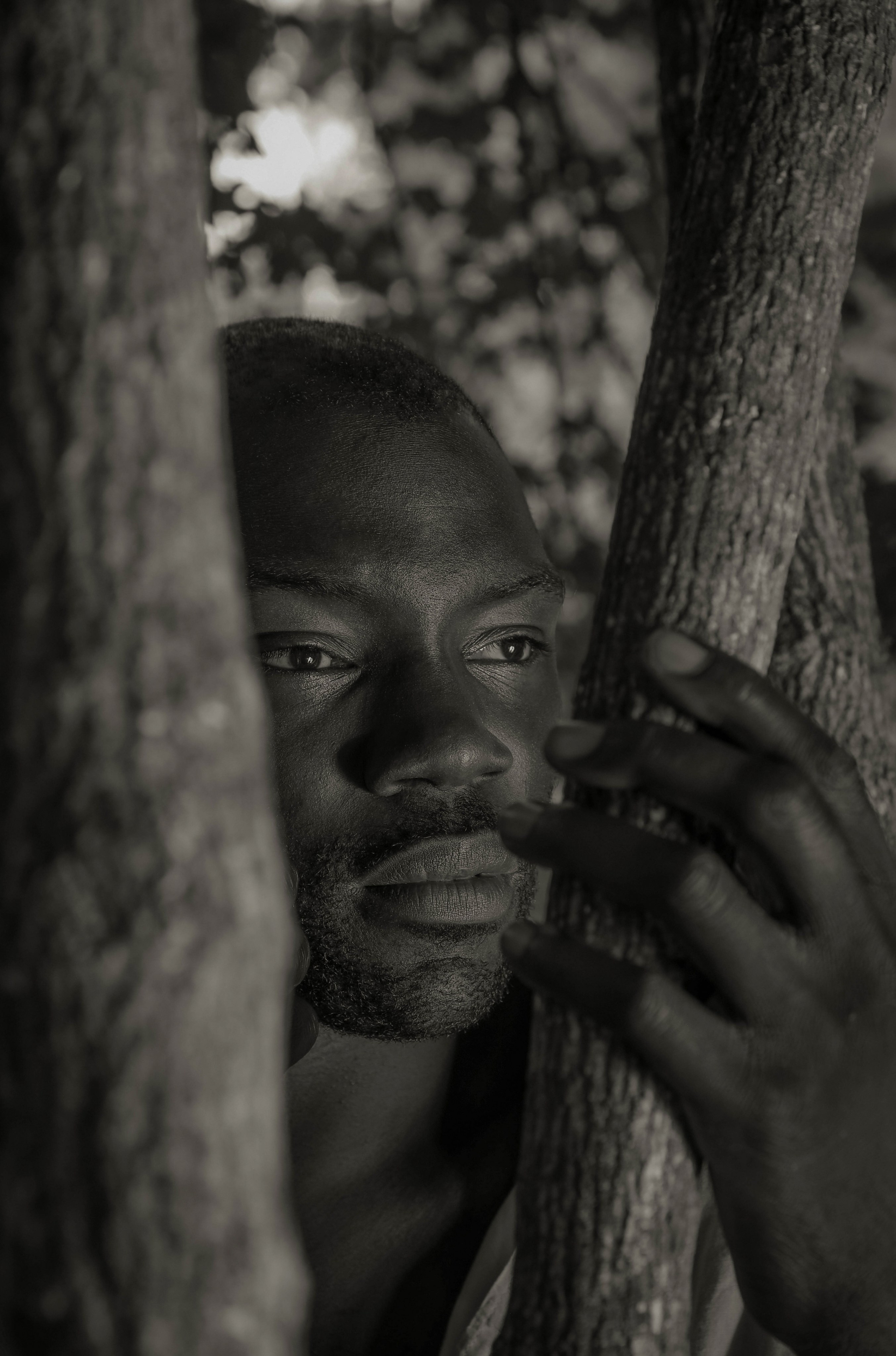 STEVE. Photographe Karen Tatevosian