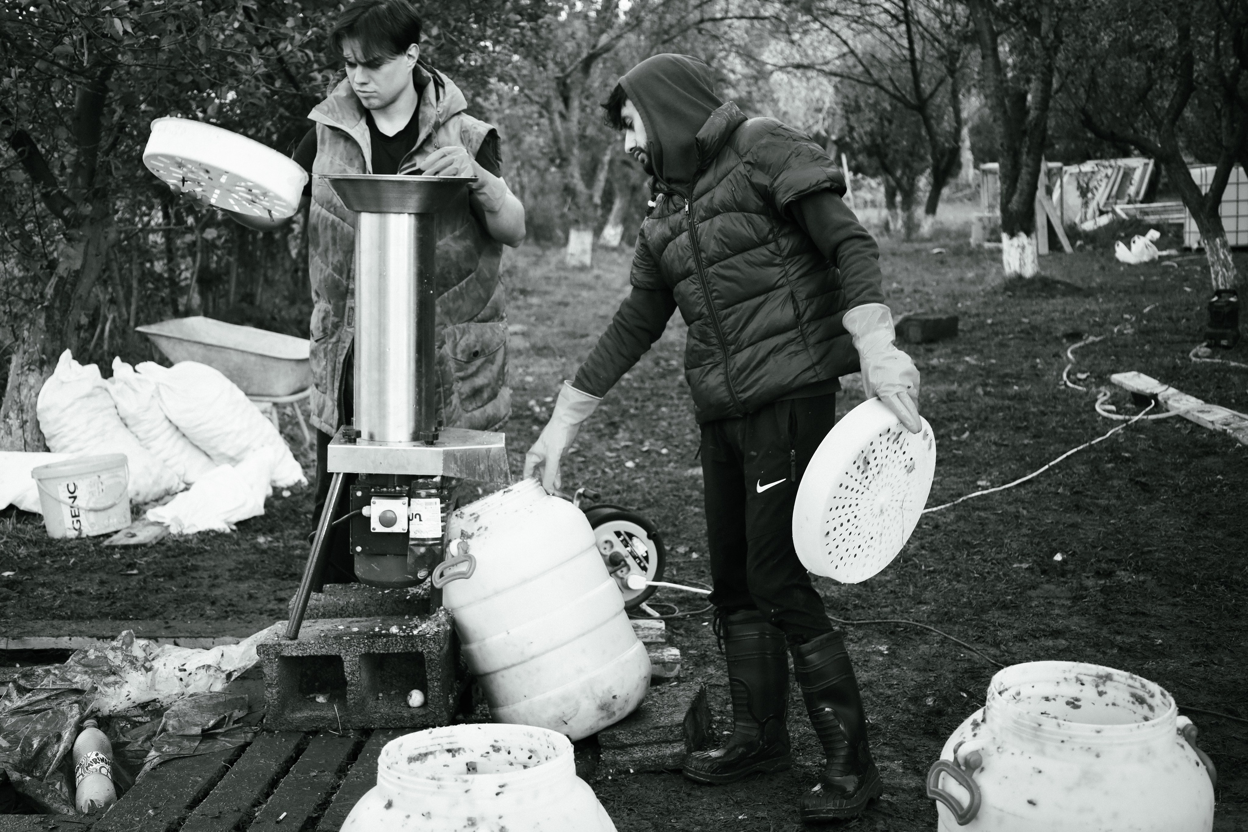 Factory reportage (hand-crafted cider). Asmikiam
