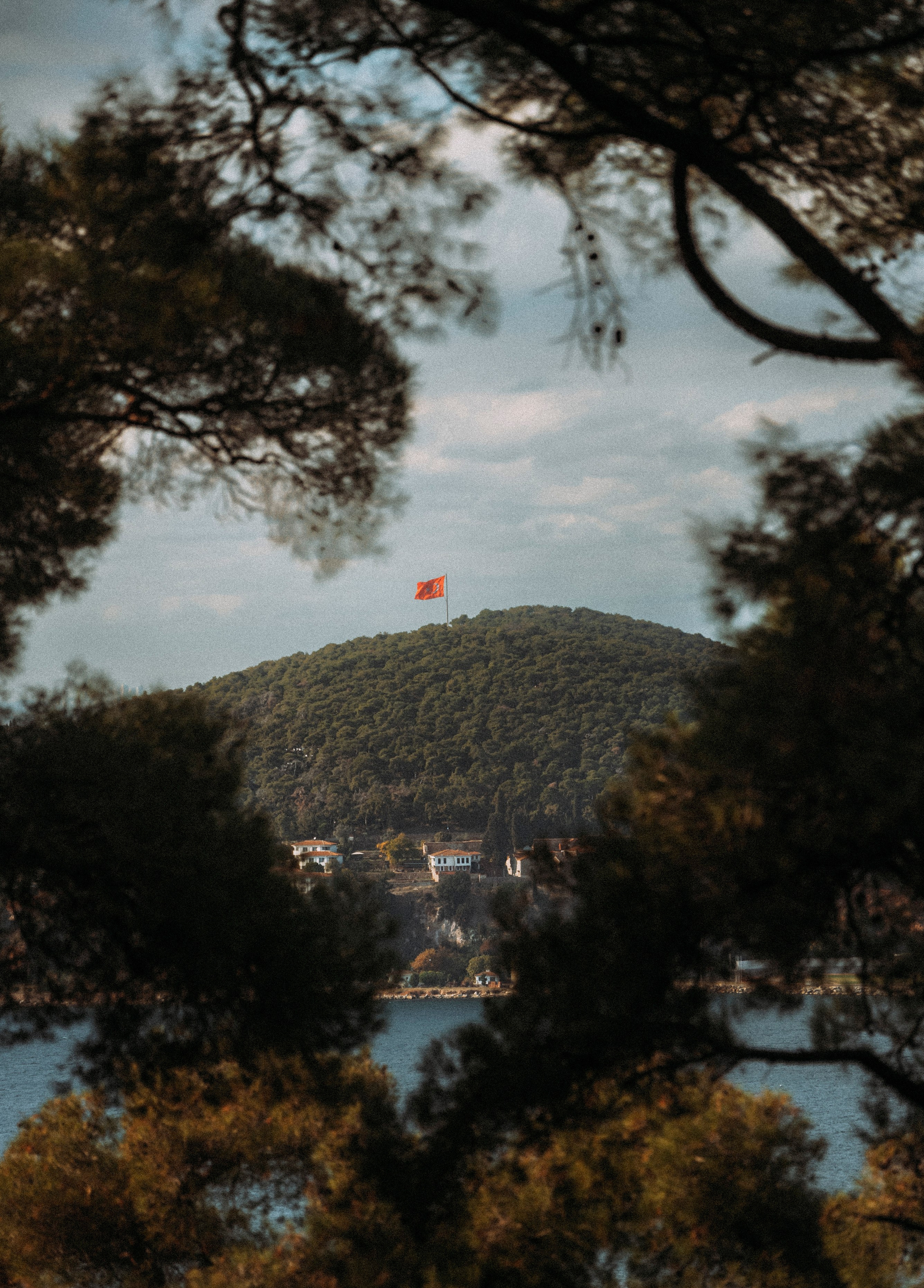 СТАМБУЛ. Стрит-фотография, полная абсурда, идиотизма и красоты