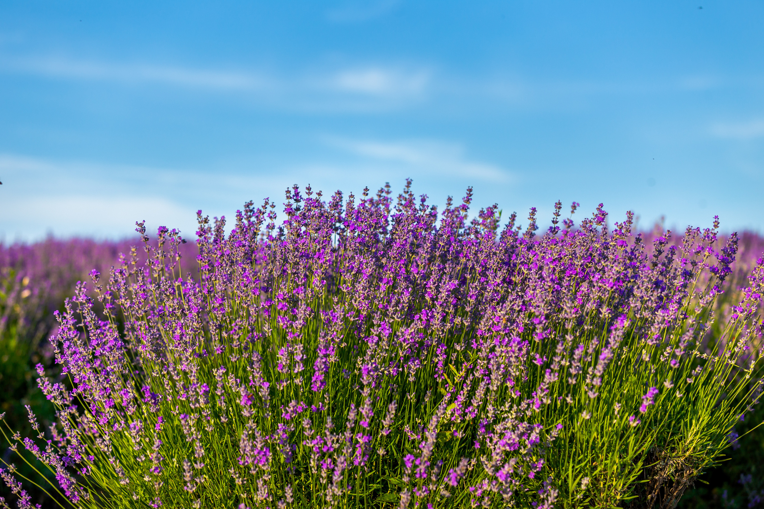 Владимир — фотограф в Болгарии. Family photographer in Burgas VladZavorg