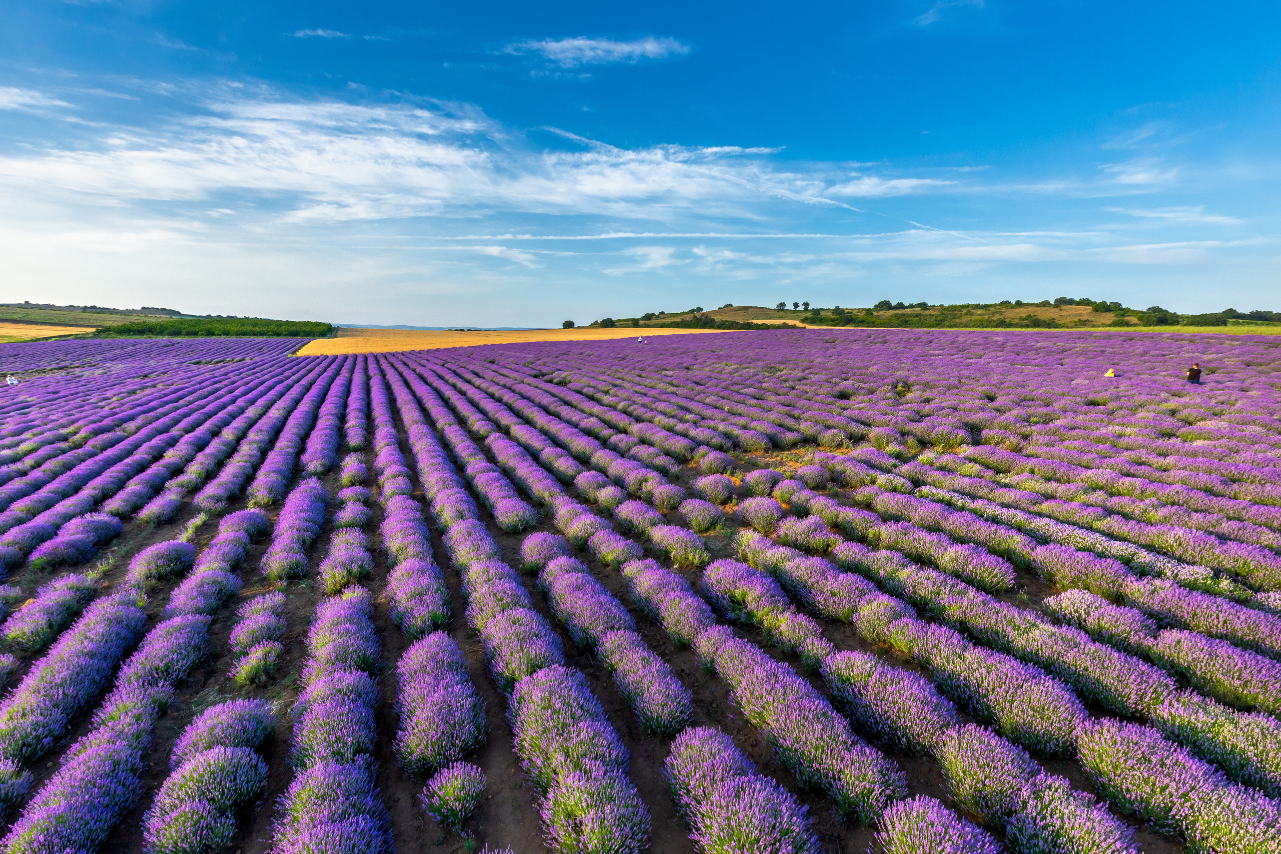 Владимир — фотограф в Болгарии. Family photographer in Burgas VladZavorg