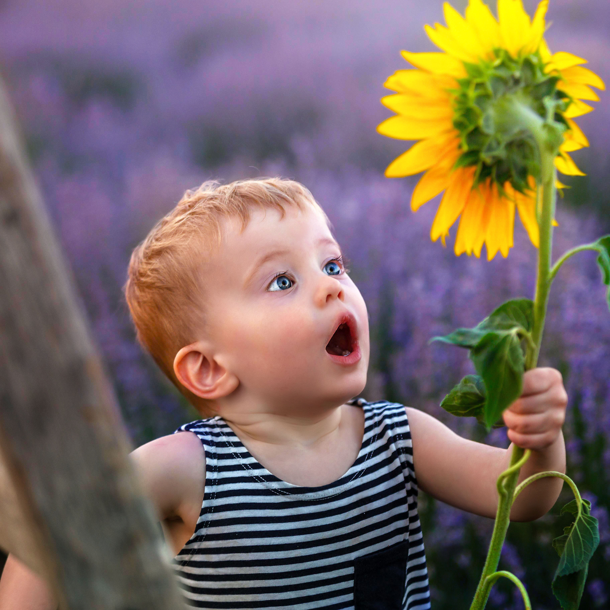 Владимир — фотограф в Болгарии. Family photographer in Burgas VladZavorg
