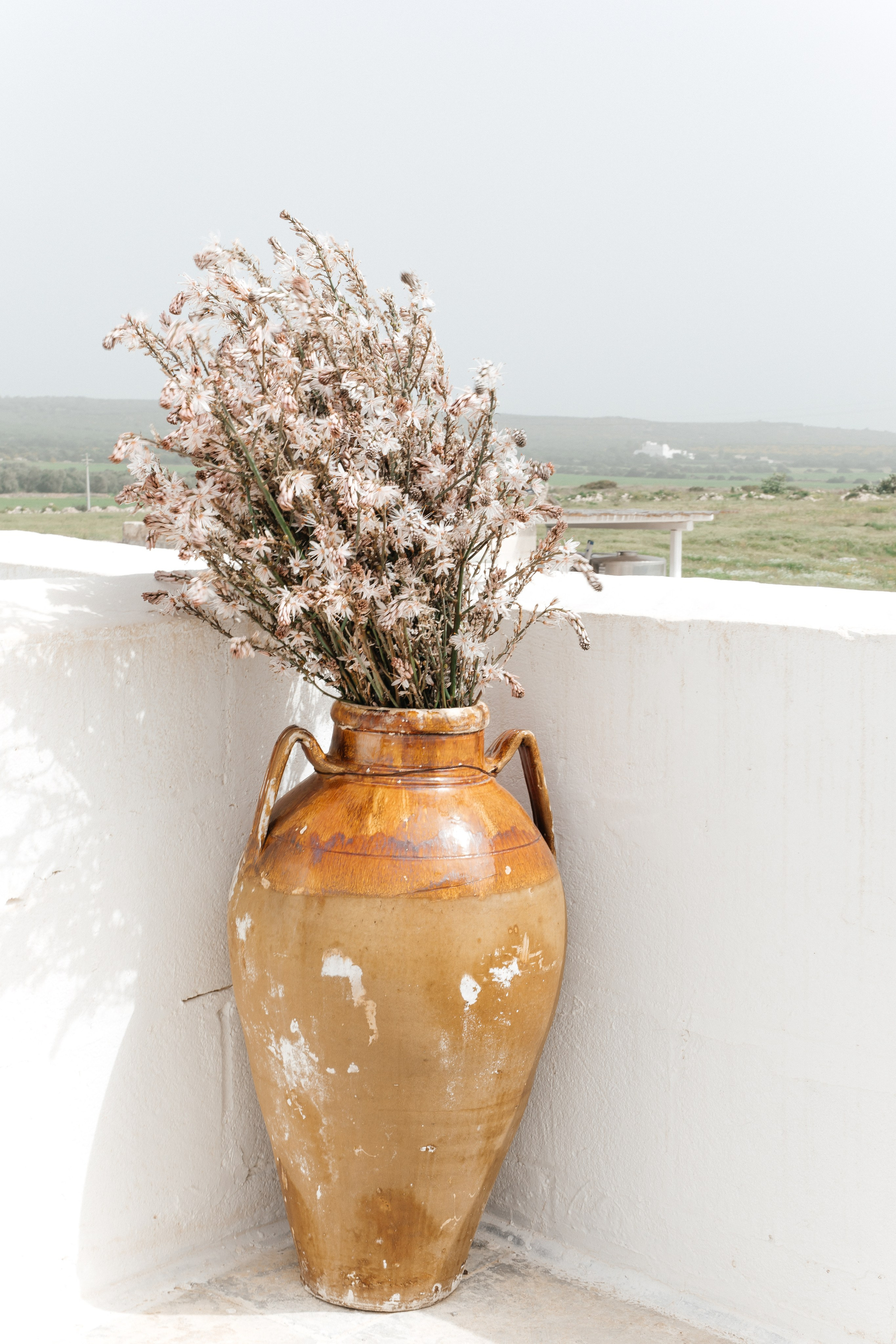 Alyssa&Sean. Wedding photographer Italy