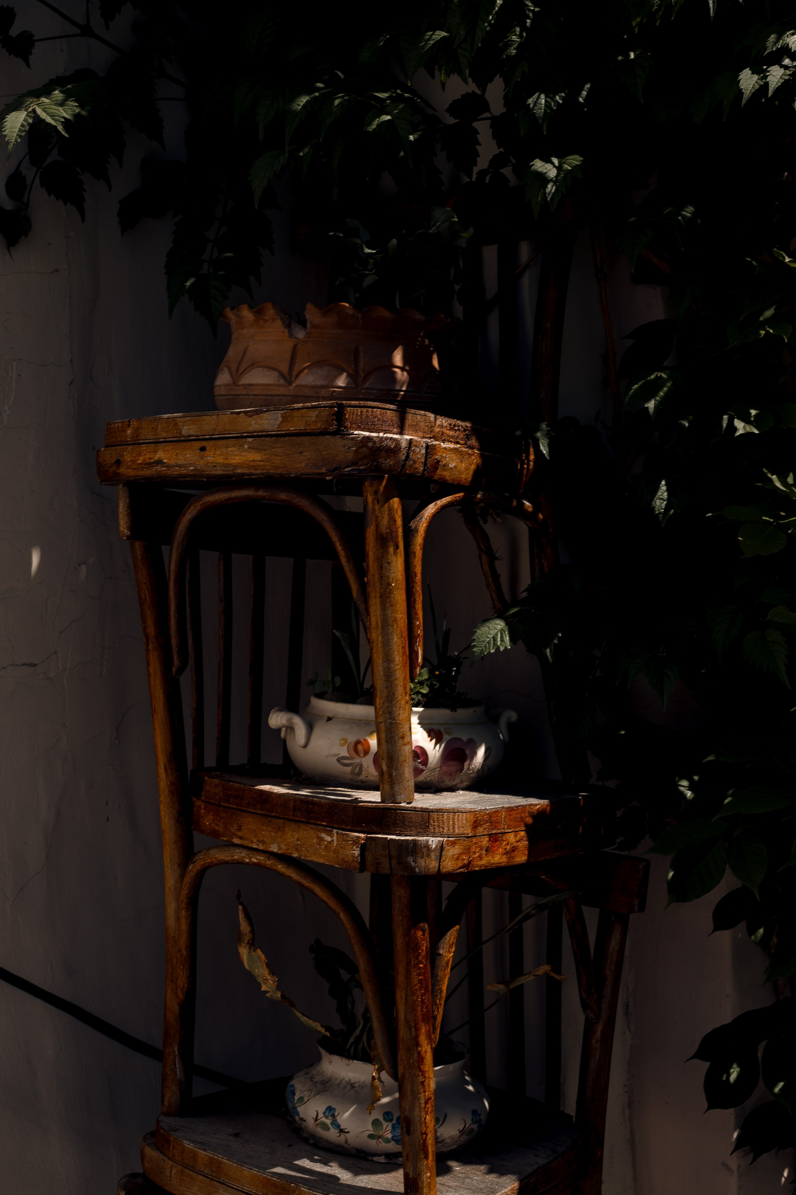 Georgia, Batumi. Art Photographer