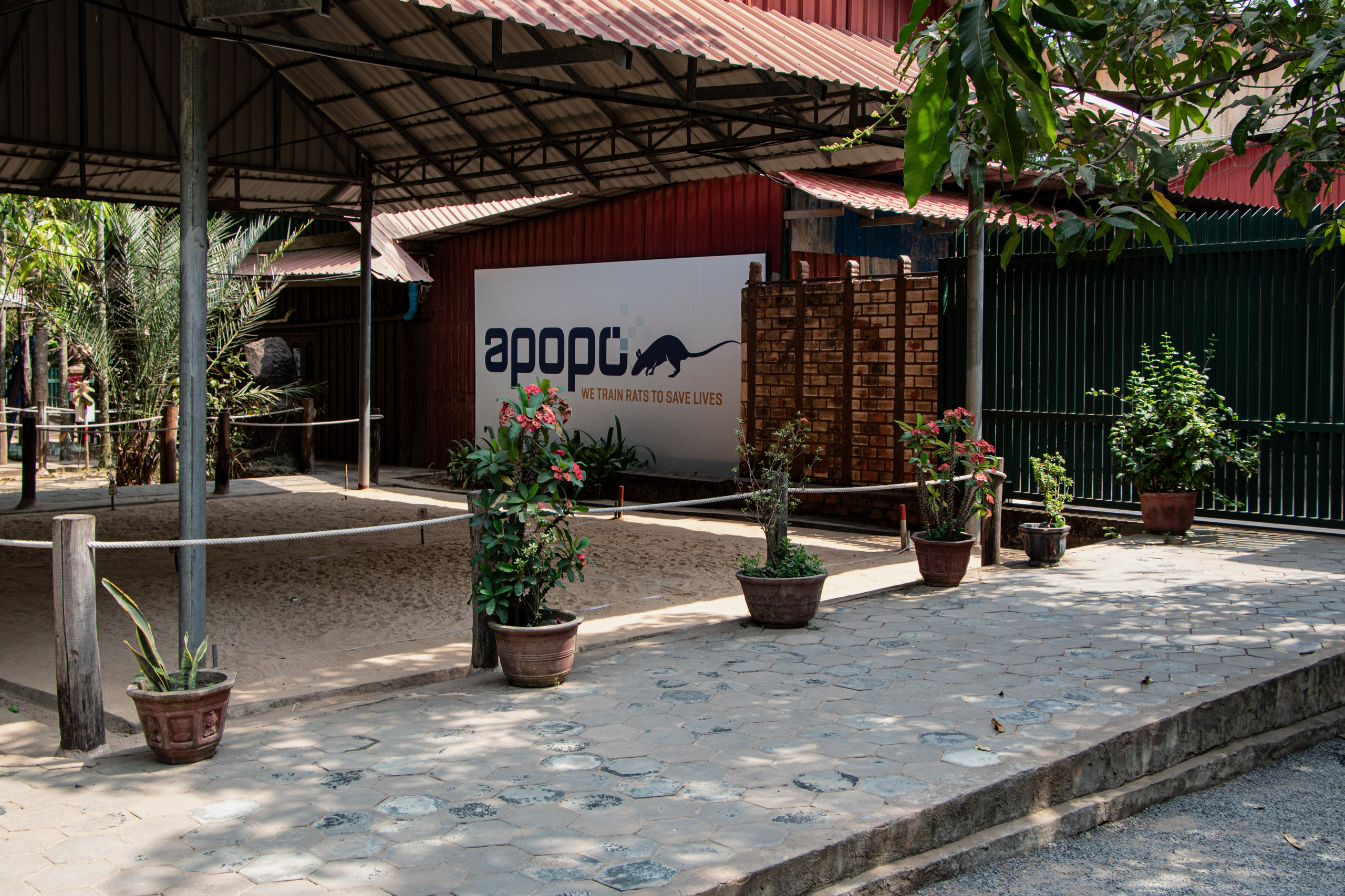 Centre d'entrainement d'Apopo à Siem Reap.