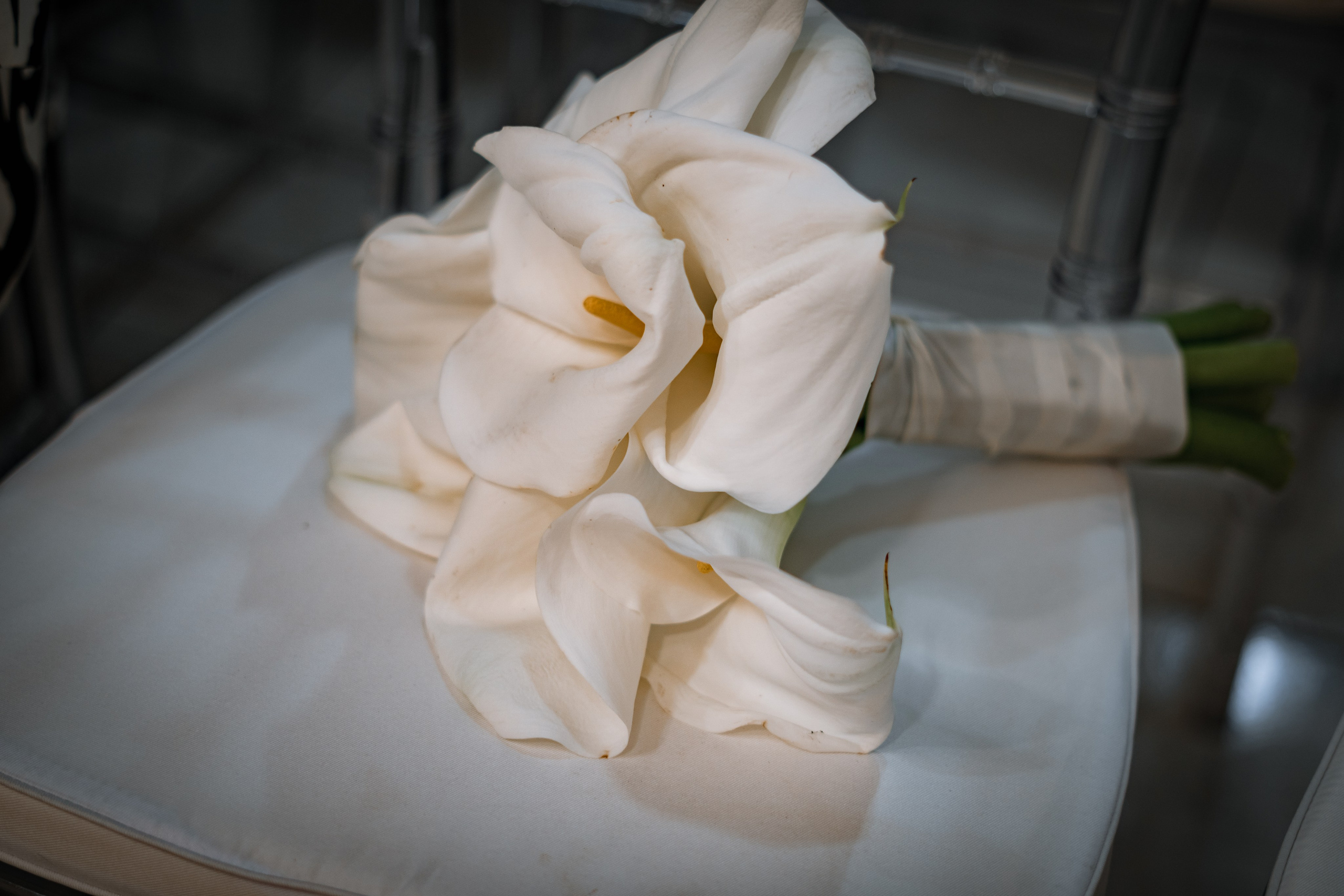 Casamento Gabriela & André - Prévias. Oh My Click - Filmes e Fotografia de Partos & Família