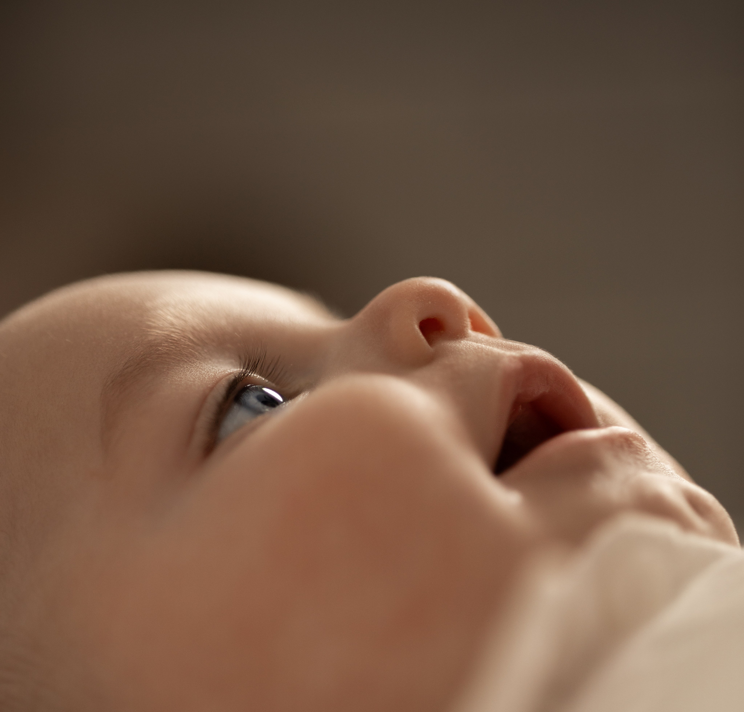 Newborn. Family and Wedding photographer