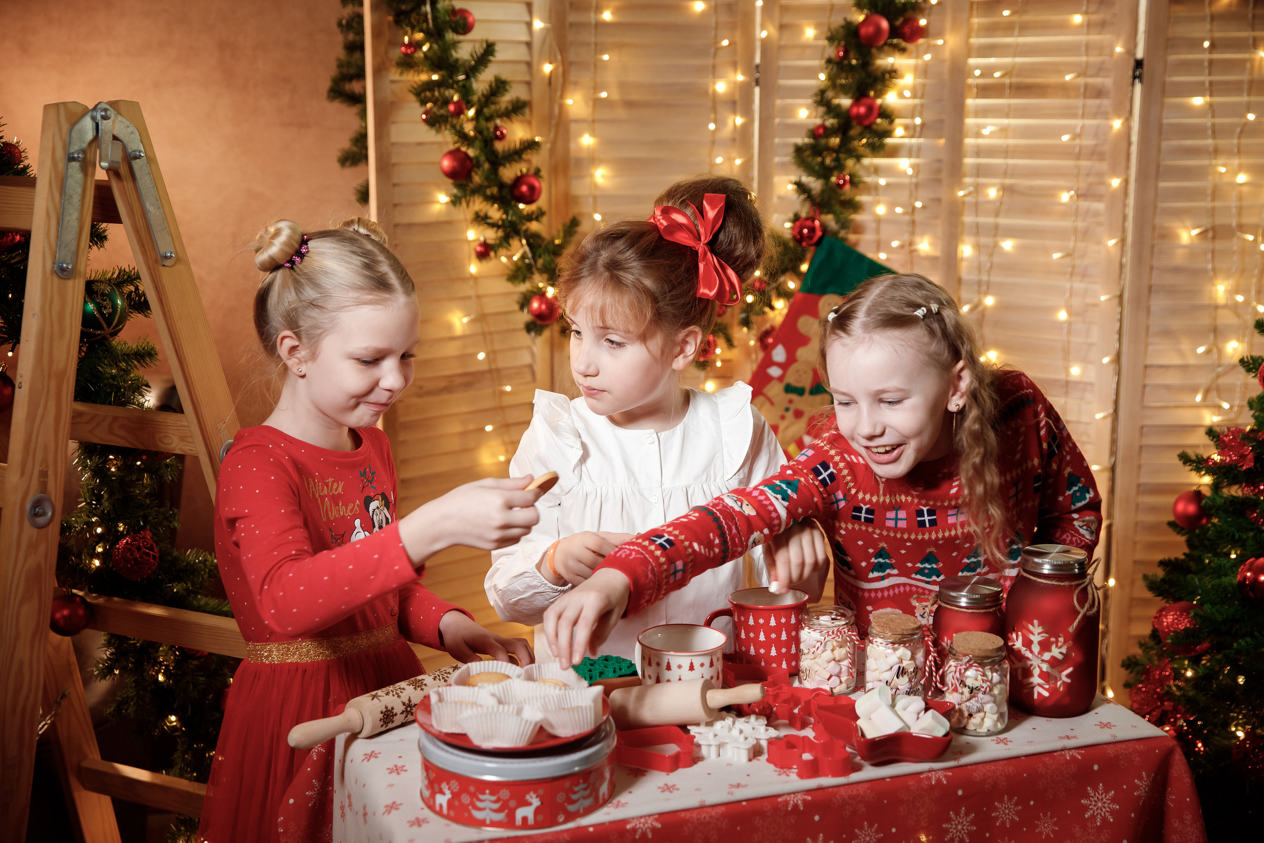 Новогодние фотосессии. Семейный, детский, школьный фотограф в Нарве, Эстония, Зоя Хусаинова