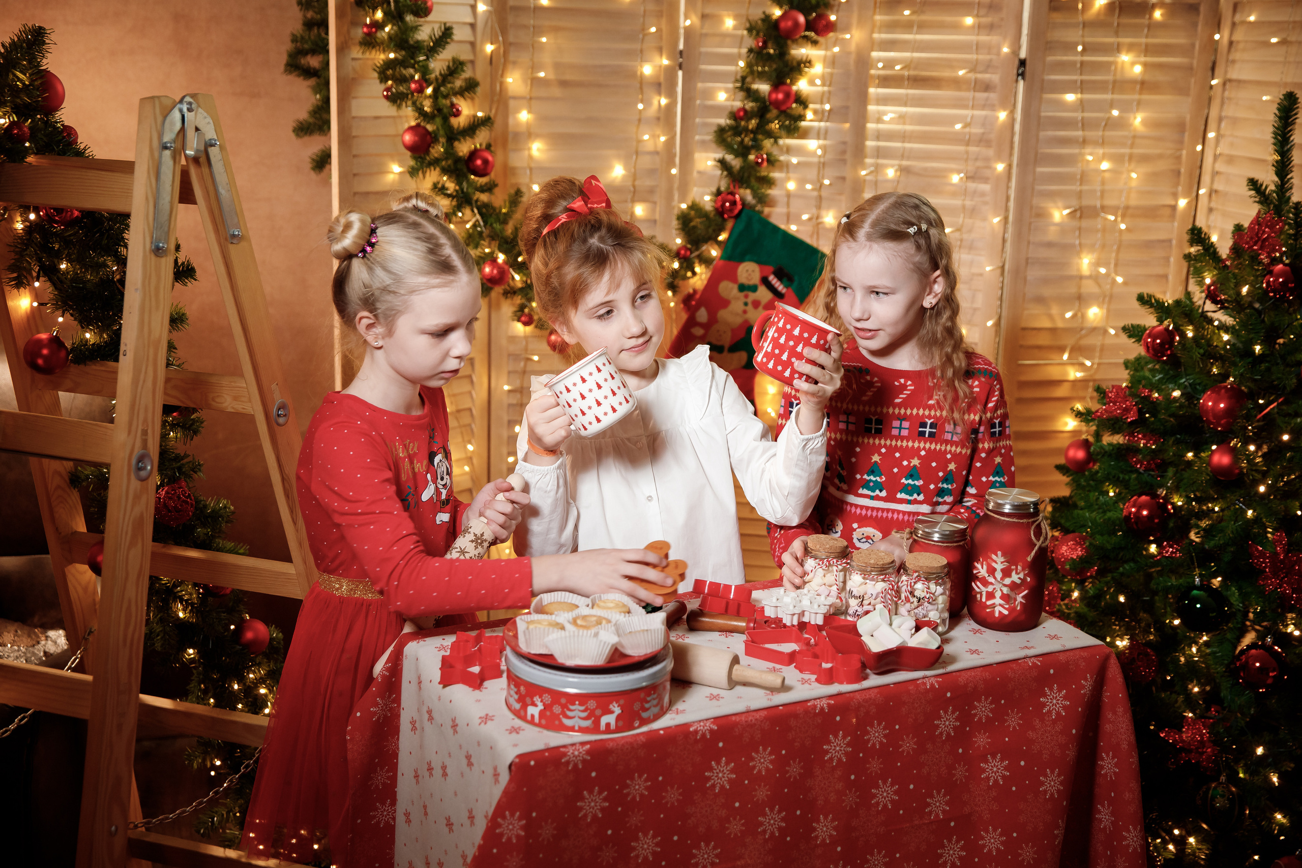 Новогодние фотосессии. Семейный, детский, школьный фотограф в Нарве, Эстония, Зоя Хусаинова