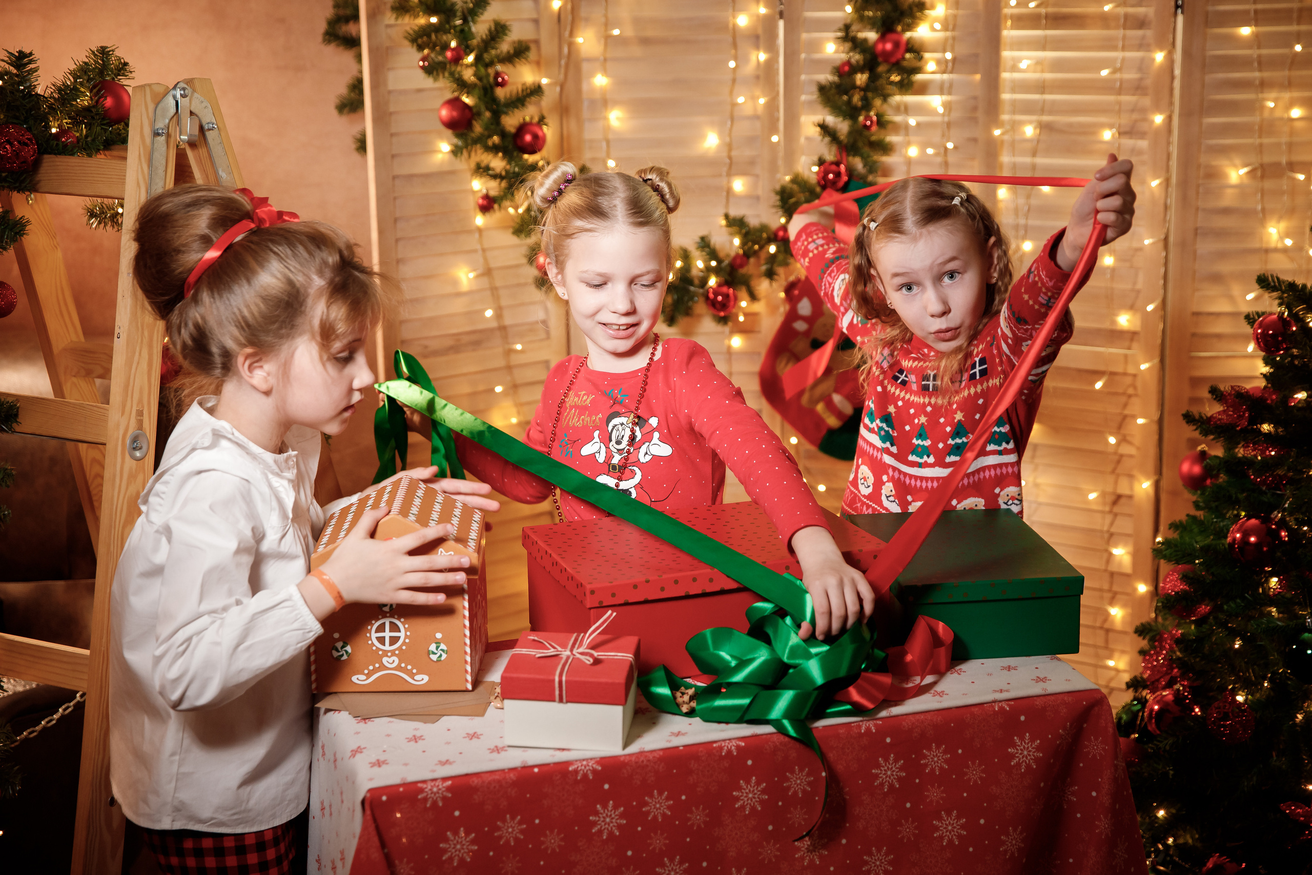 Новогодние фотосессии. Семейный, детский, школьный фотограф в Нарве, Эстония, Зоя Хусаинова