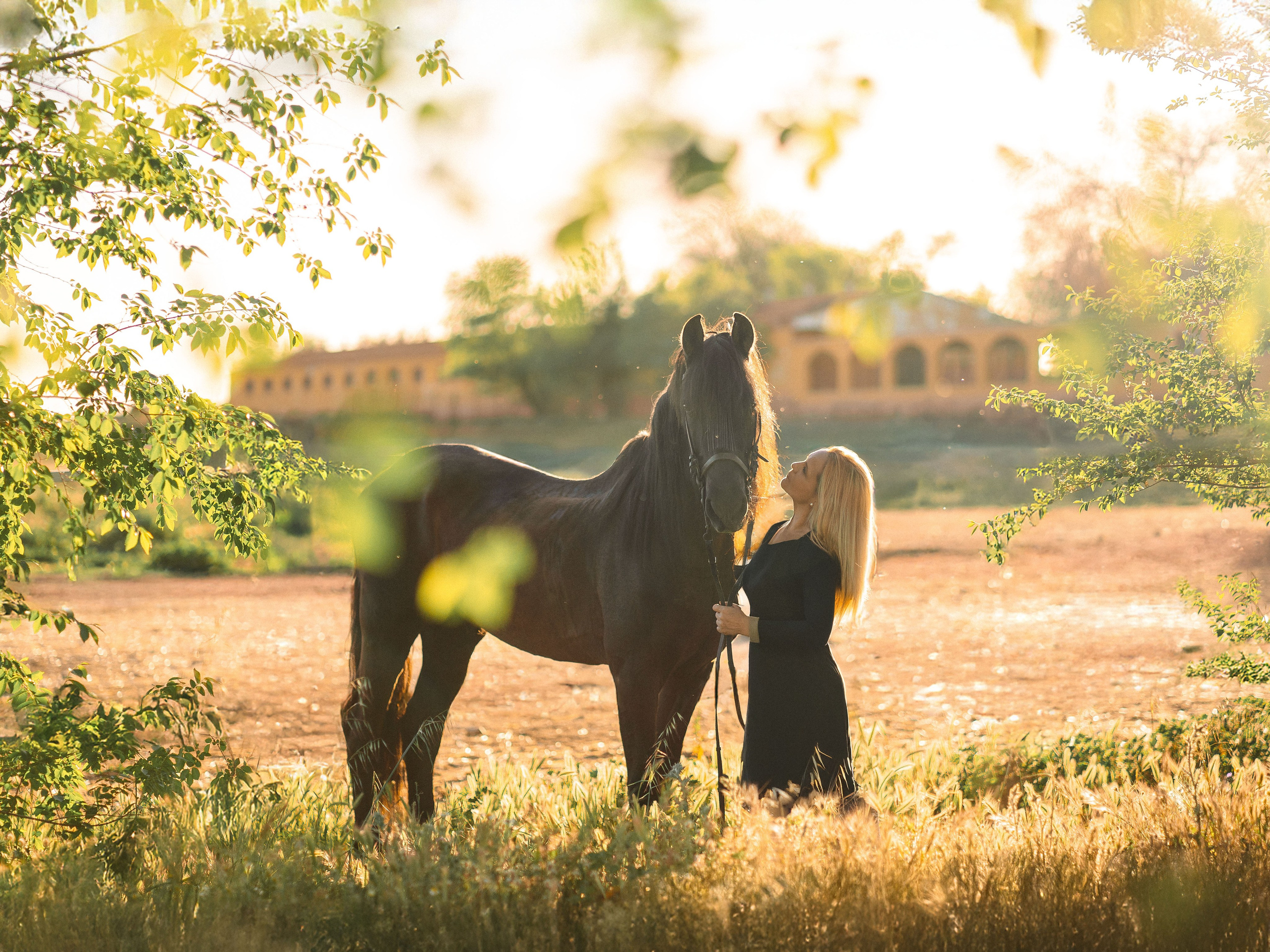 Девушка с лошадью на закате в Мадриде.