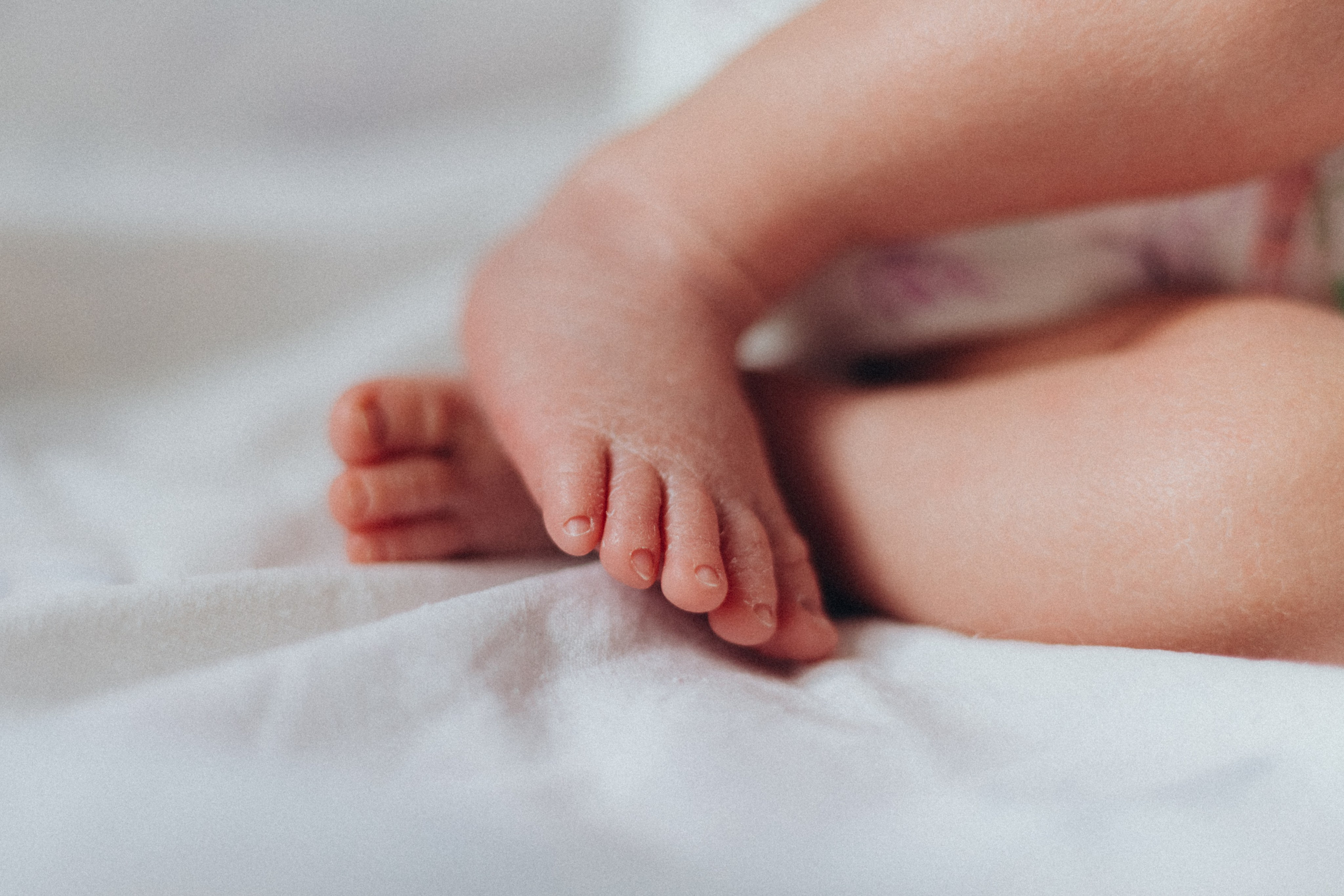 Family. Portrait and family photographer in Fort Collins Dania Gaisina