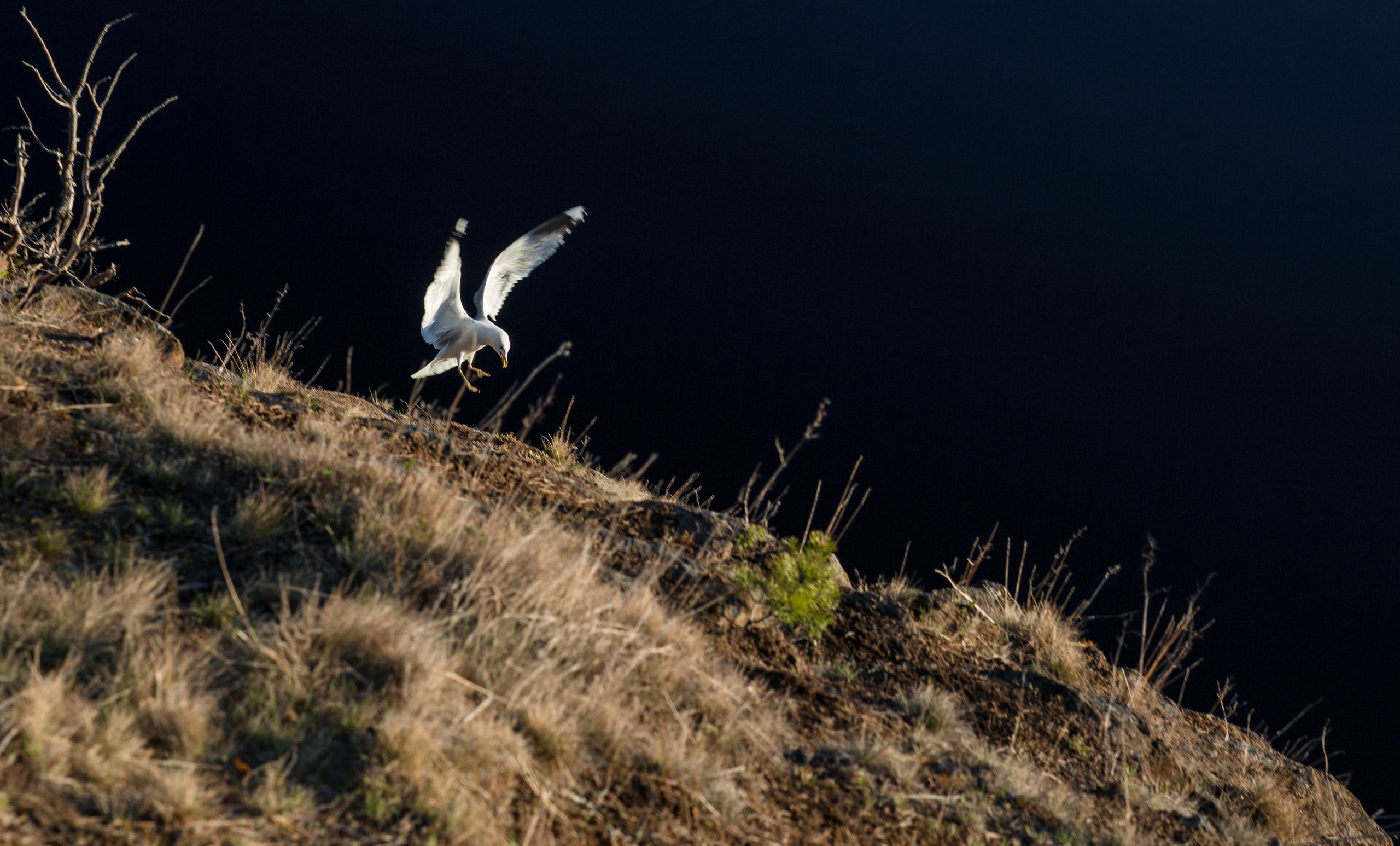 Valaam. Evgeko — photographer фотограф