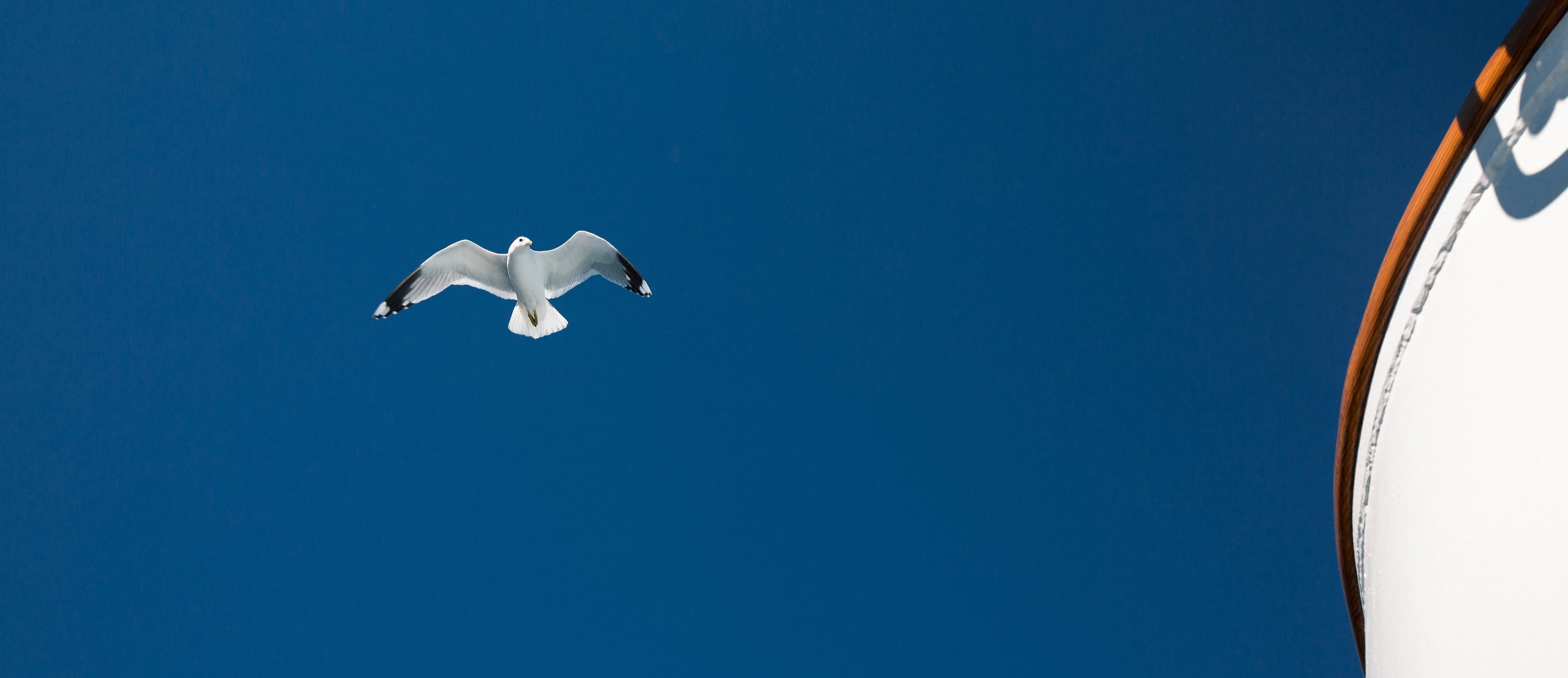 Valaam. Evgeko — photographer фотограф