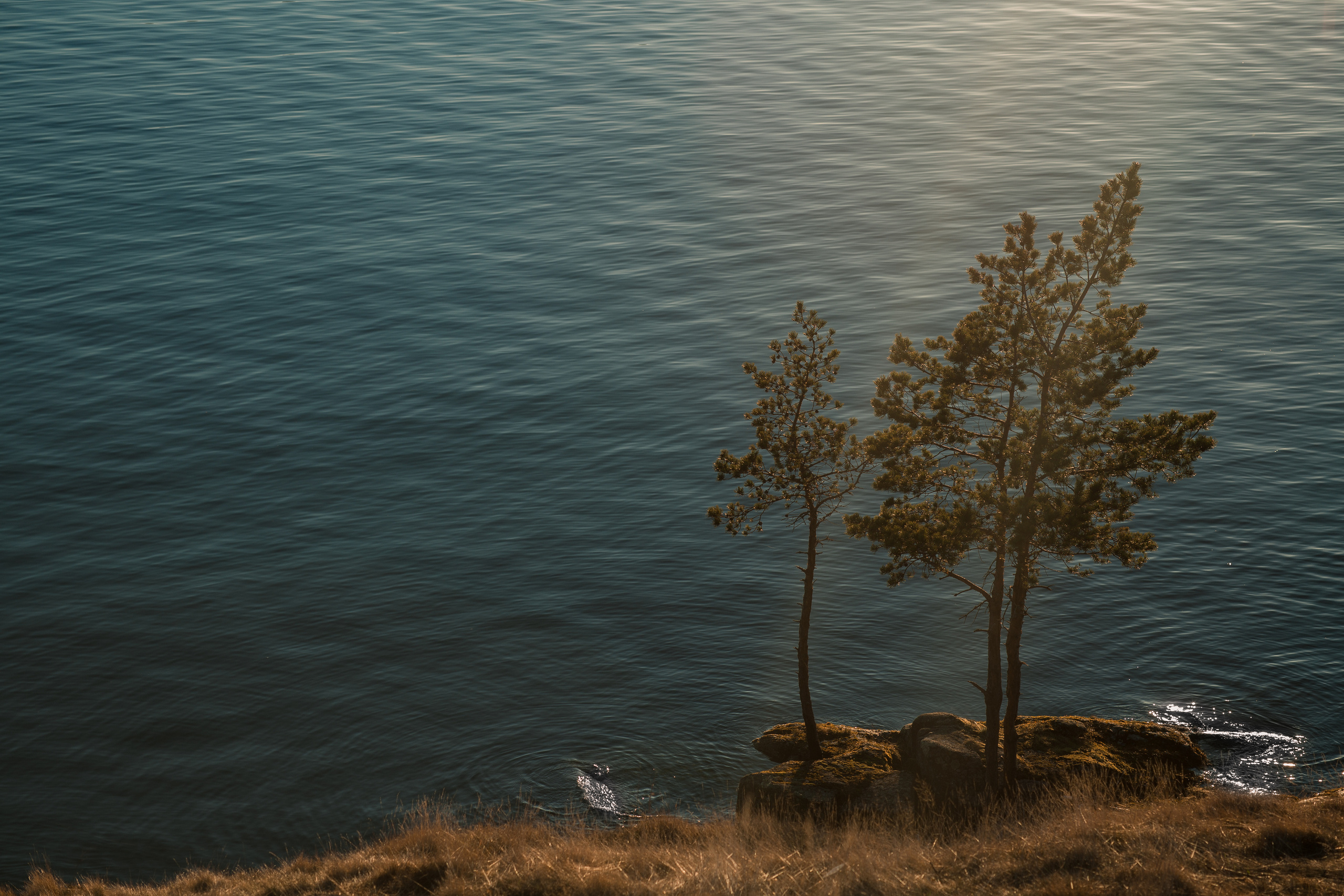 Valaam. Evgeko — photographer фотограф