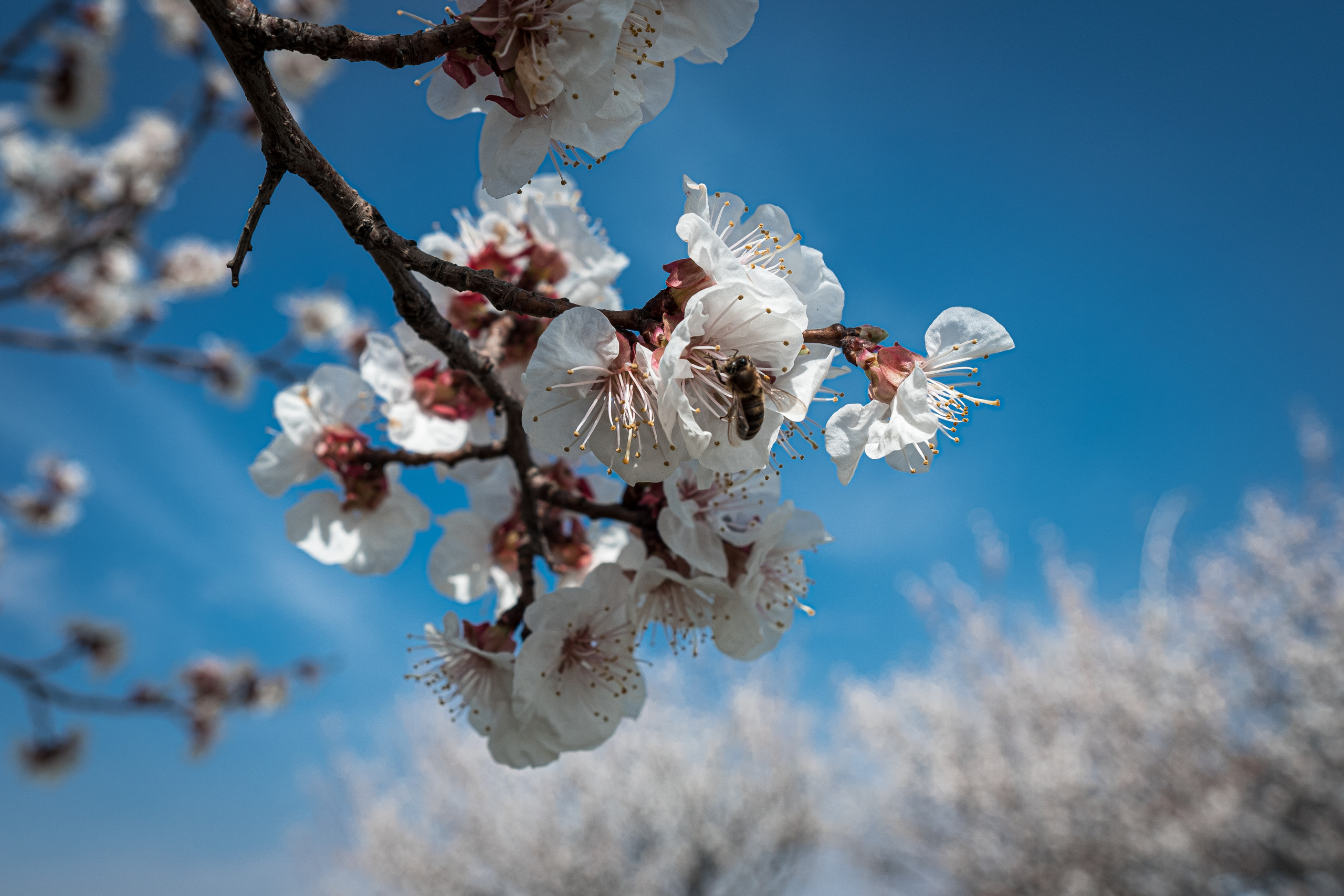 PlatonFF | Sasha. Evgeko — photographer фотограф