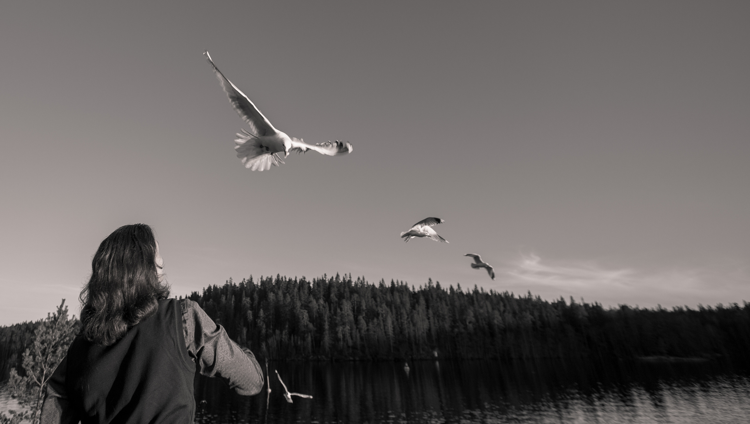 Valaam. Evgeko — photographer фотограф