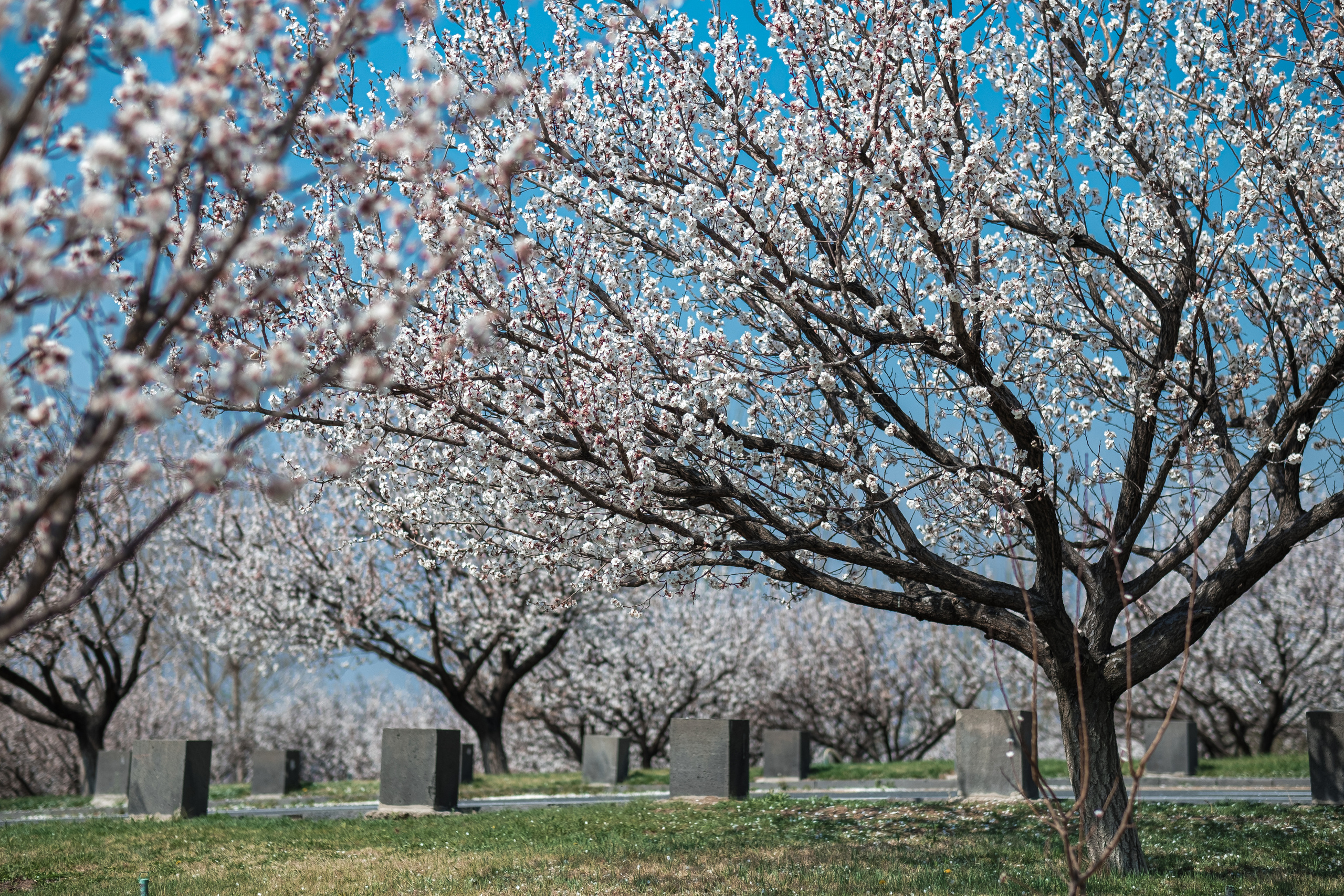 PlatonFF | Sasha. Evgeko — photographer фотограф