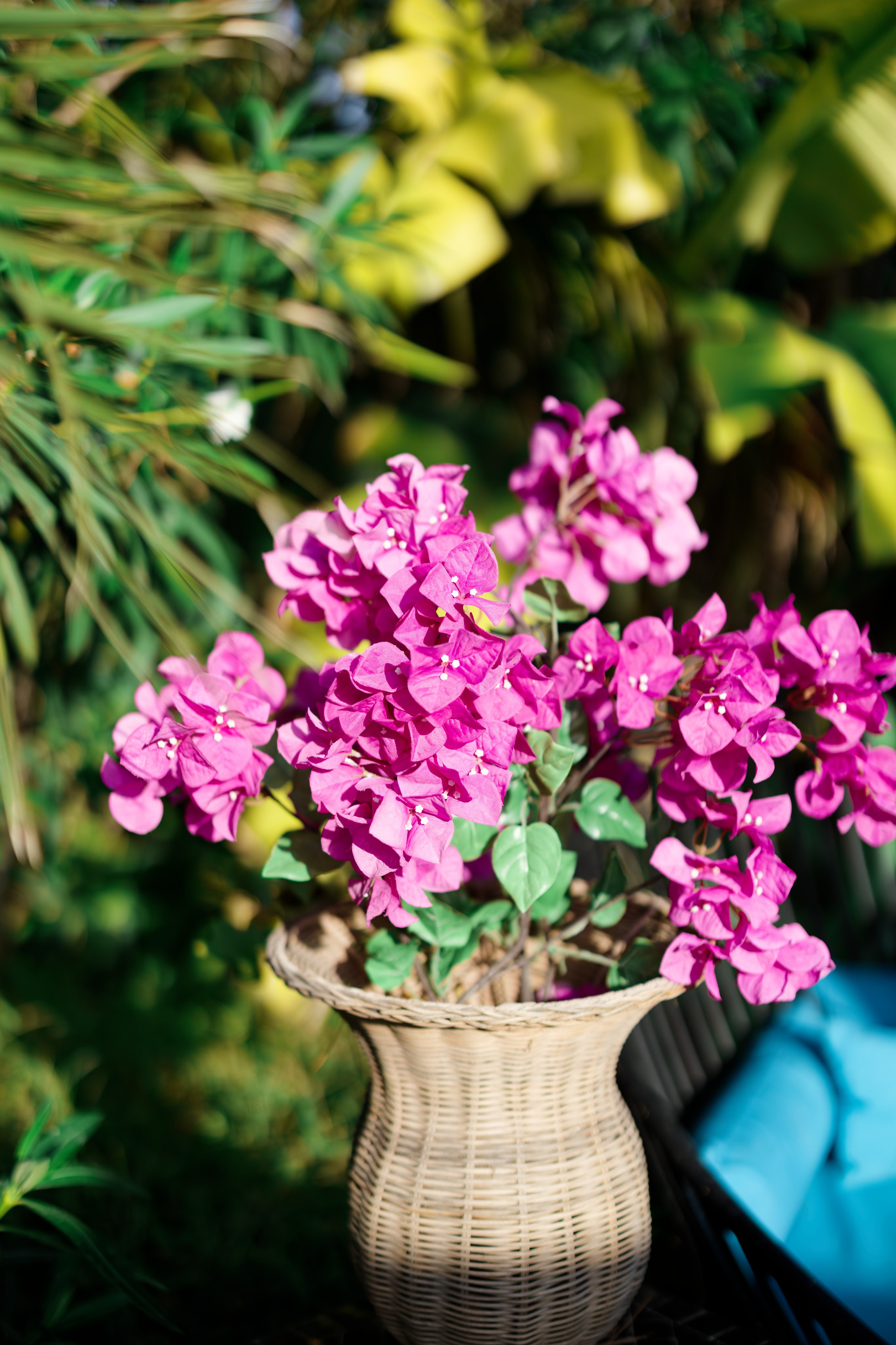 Haldi Ceremony & Mehndi Night & pre-wedding dinner, Barcelona