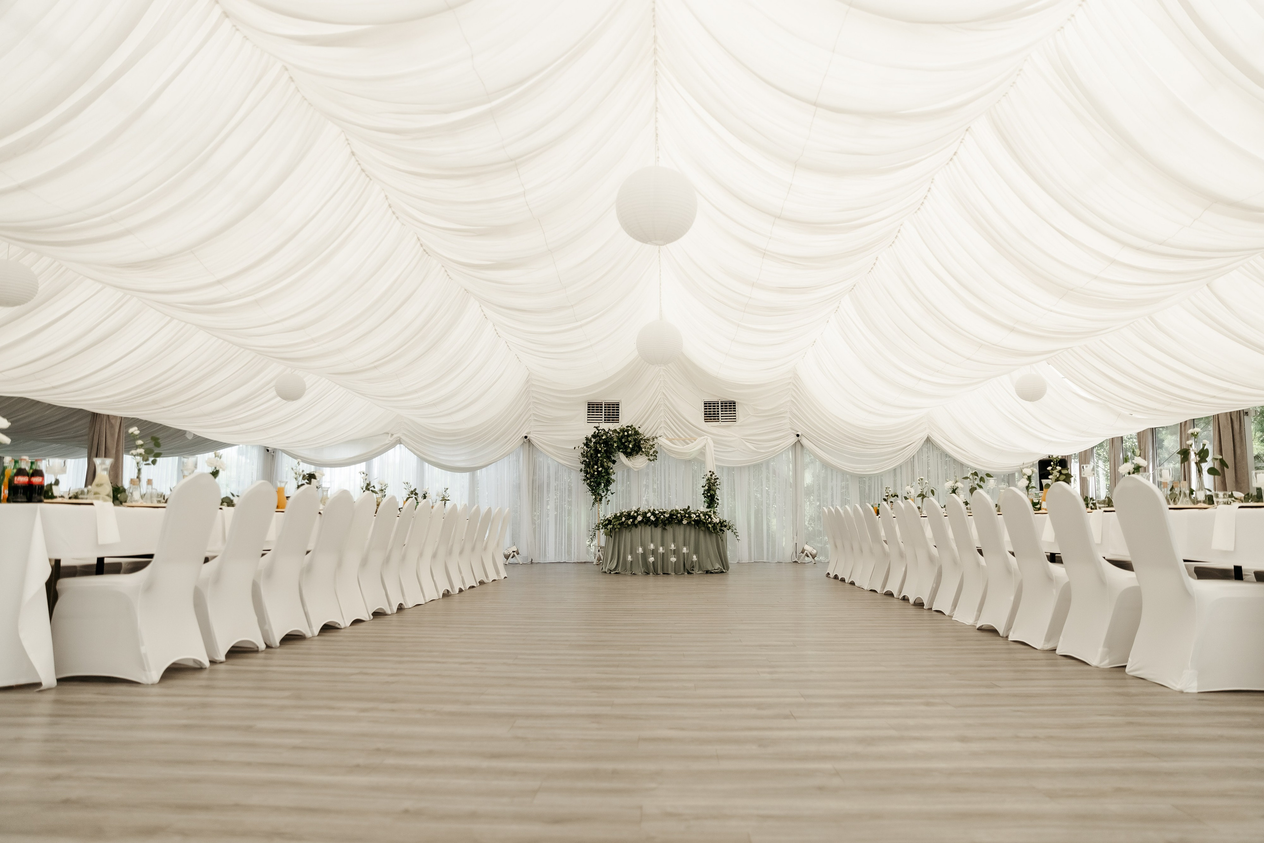 Аліна та Давид. Ірина Терещук