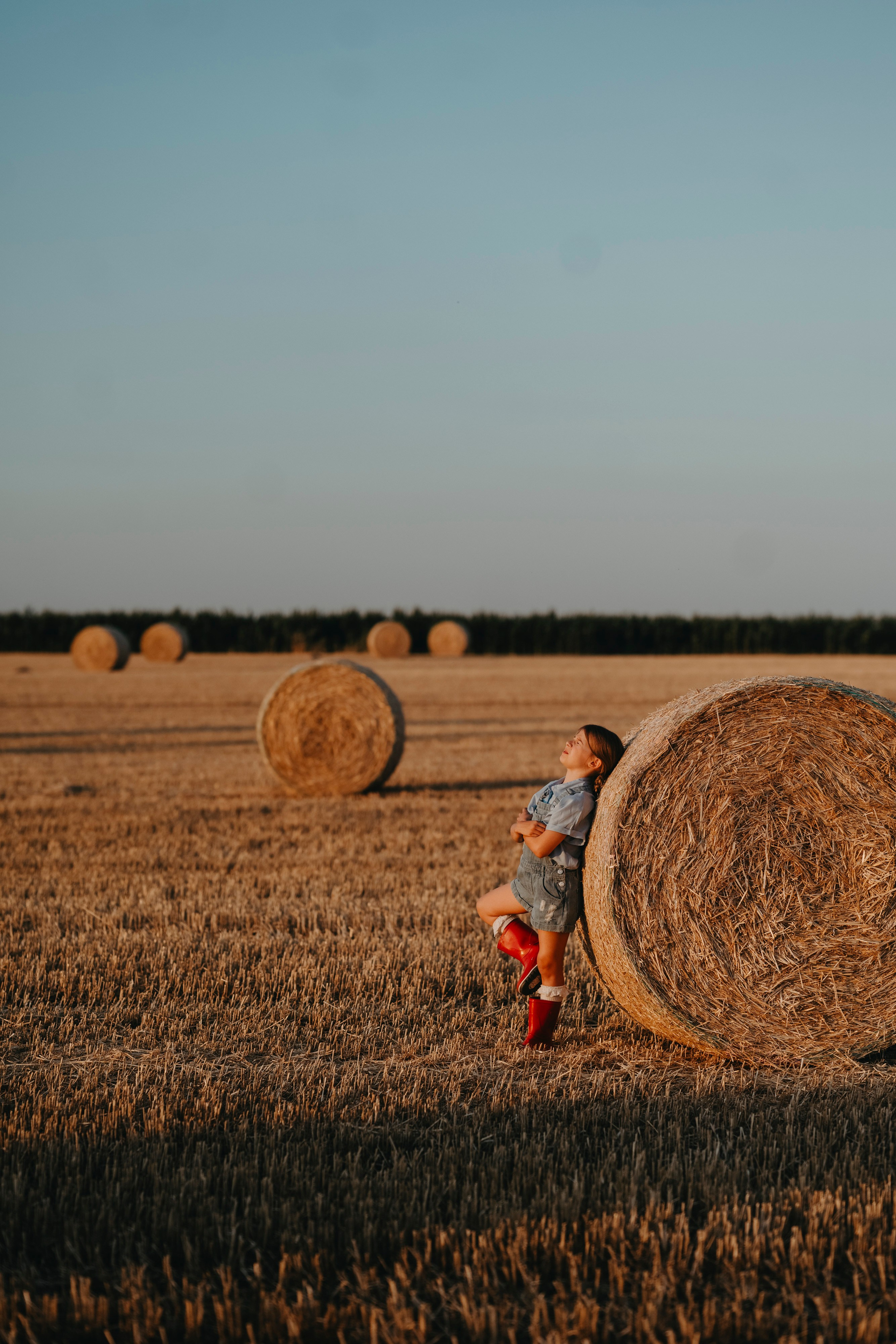 Letnje fotografisanje u polju suncokreta i sena. Deciji i porodicni fotograf u Beogradu Oksana Skendzic