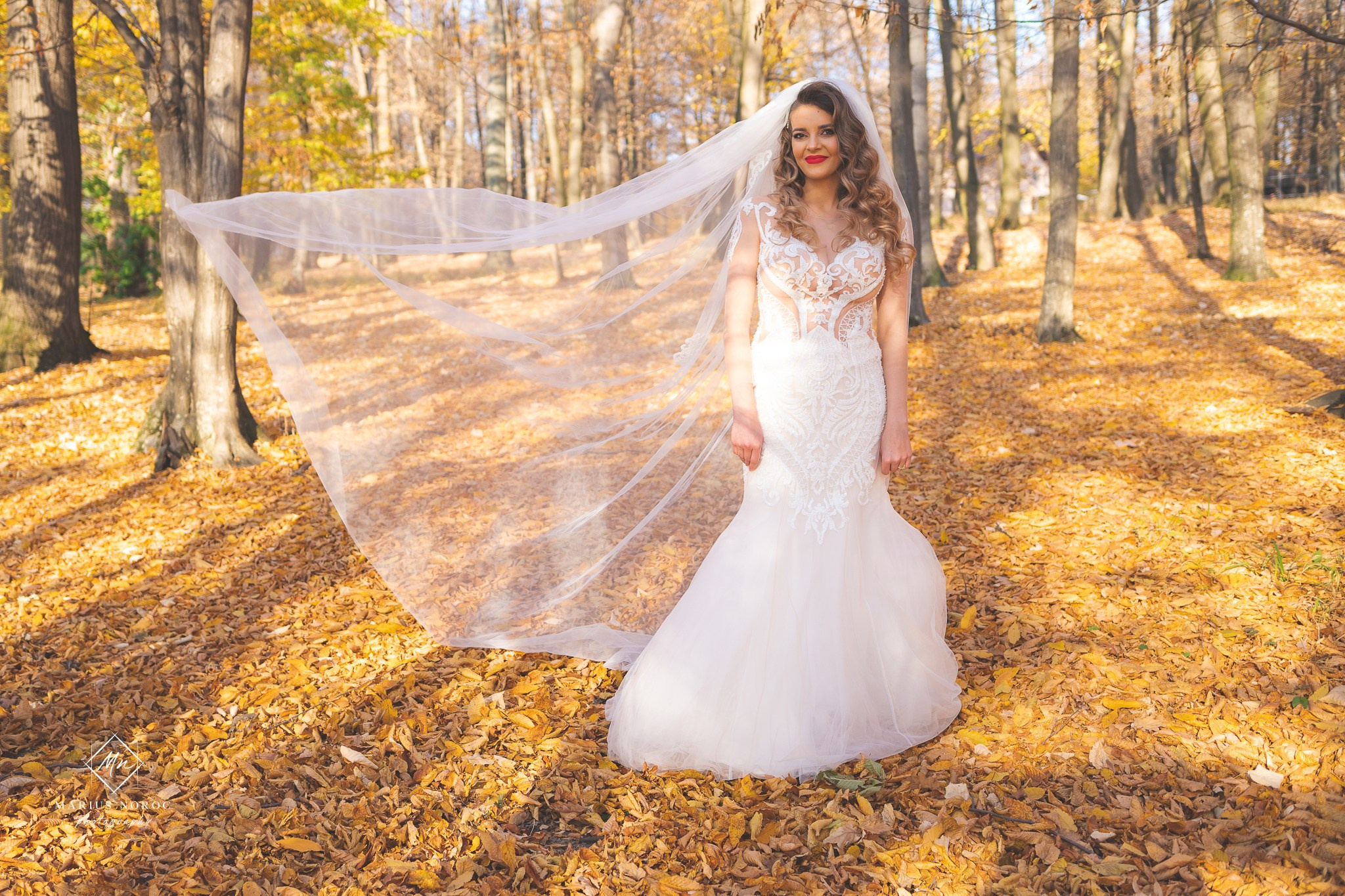 Alexandra & Alin | Padurea Bucium Iasi