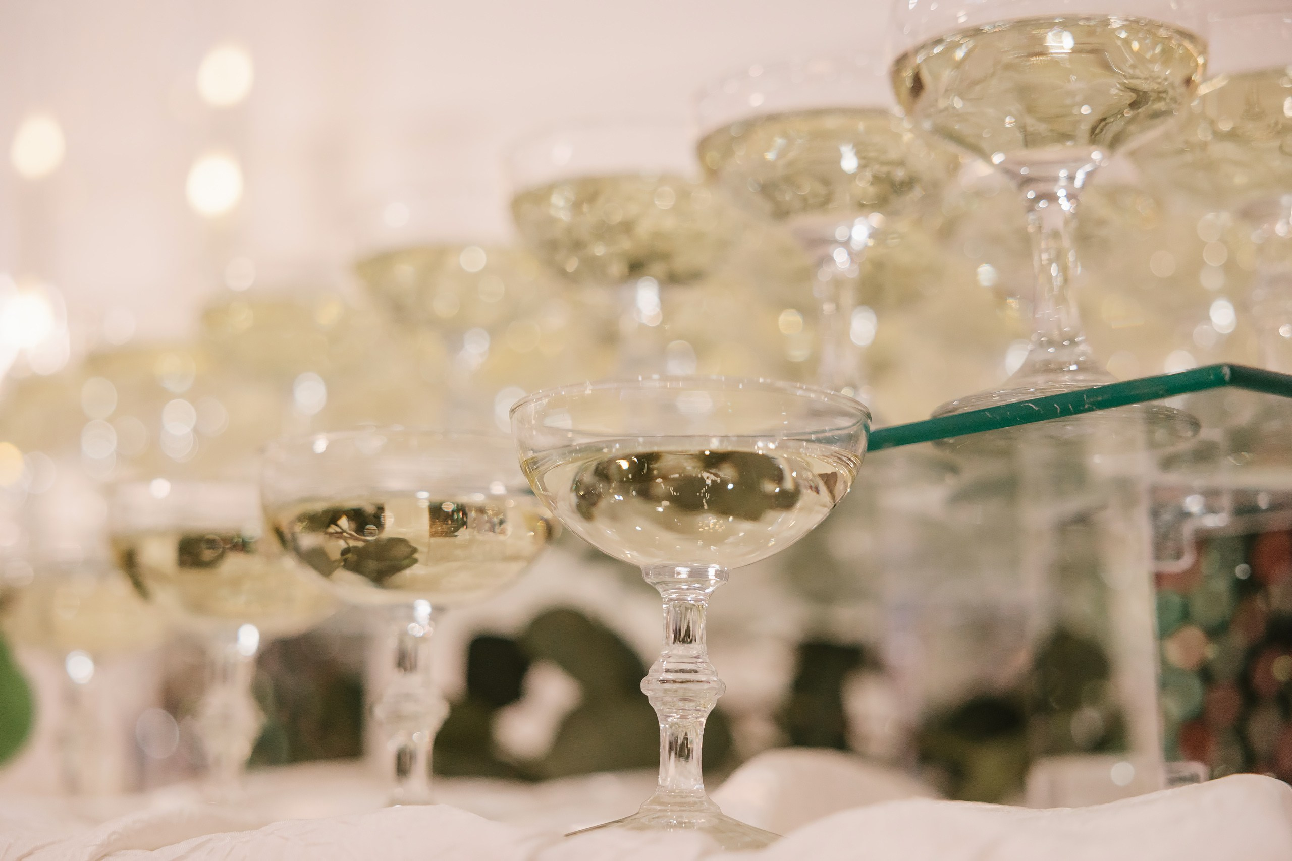 31.08.2024 Wedding. Wedding family event photographer in Chicago Nick Yushevich