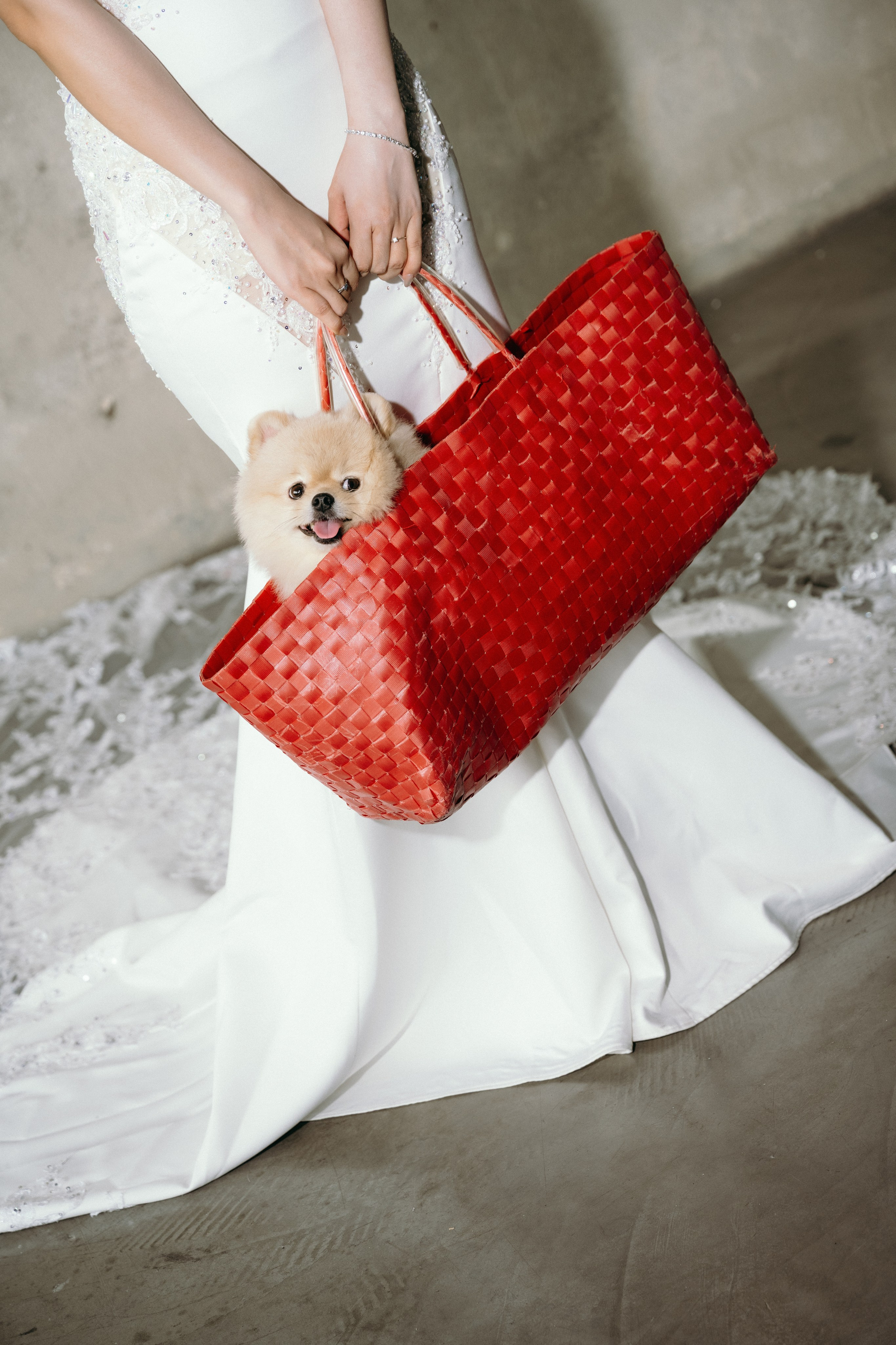 N.A wedding photoshoot in studio