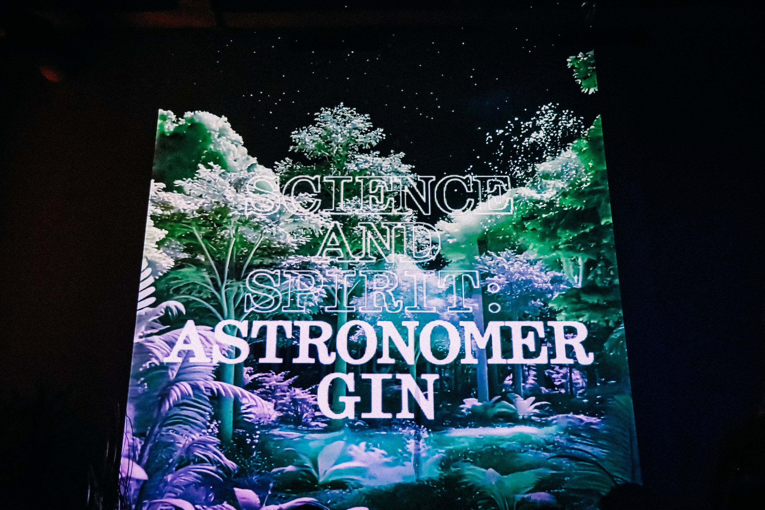 Event reportage (urvakanfestival). Asmikiam