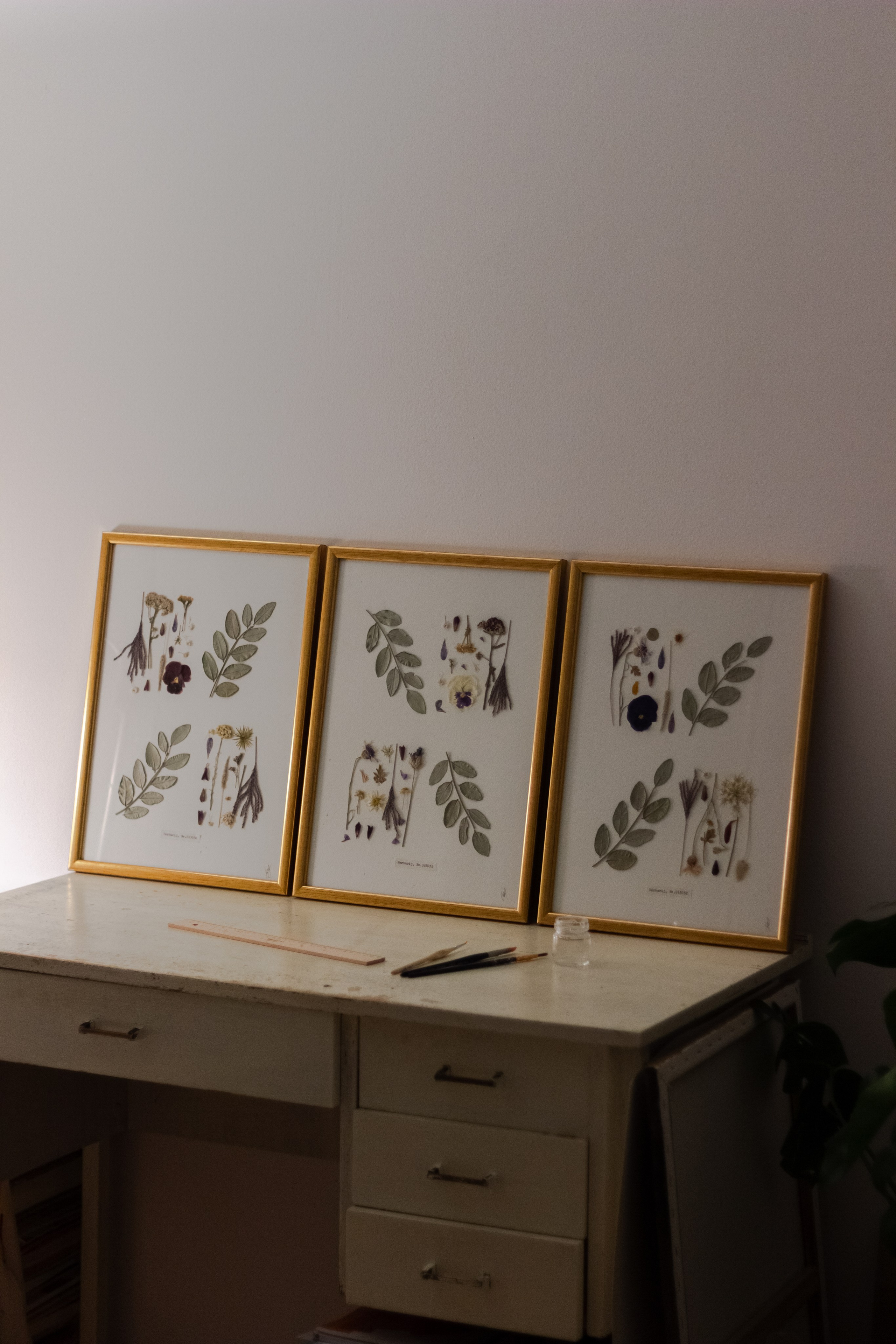 Portfolio. Herbarij studio