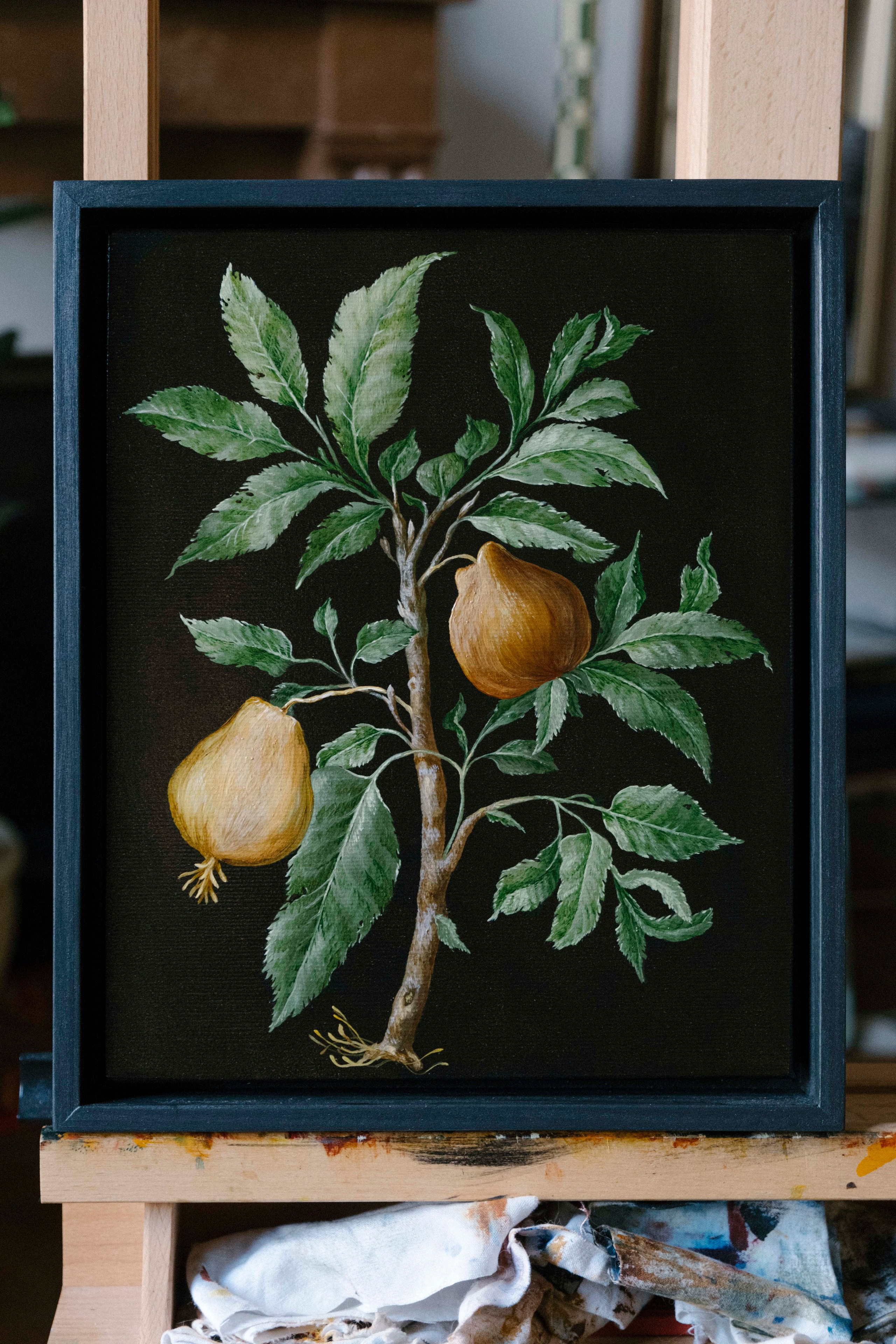 Botanical Etude No. 6. ELEN BEZHEN