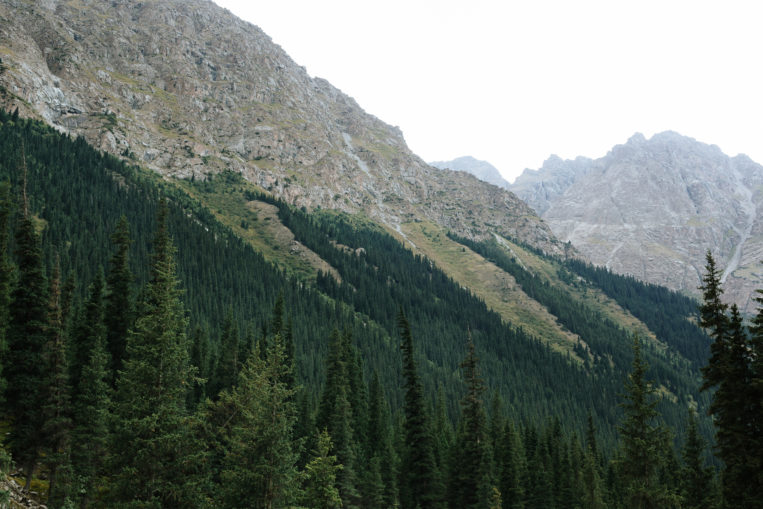 Природа Кыргызстана. Фотограф в Бишкеке Оксана Шувалова