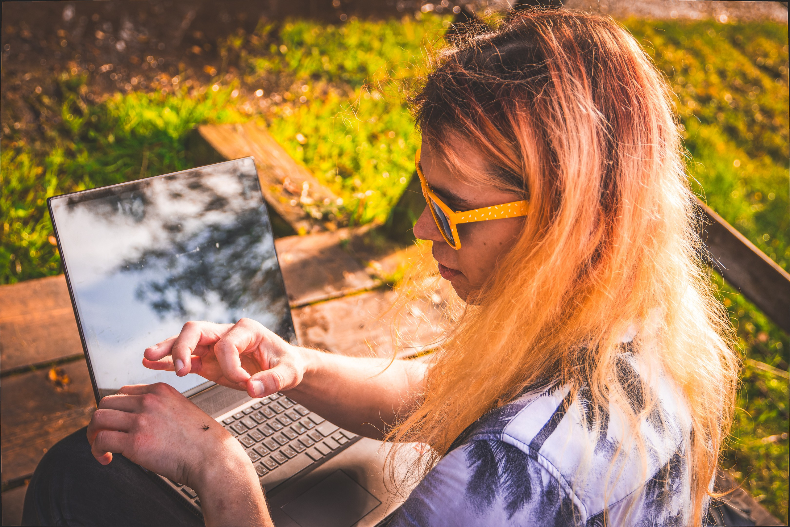 Mets, vihm ja jahedus (Dimitry). Nebula 25 — Fotod teie hingele