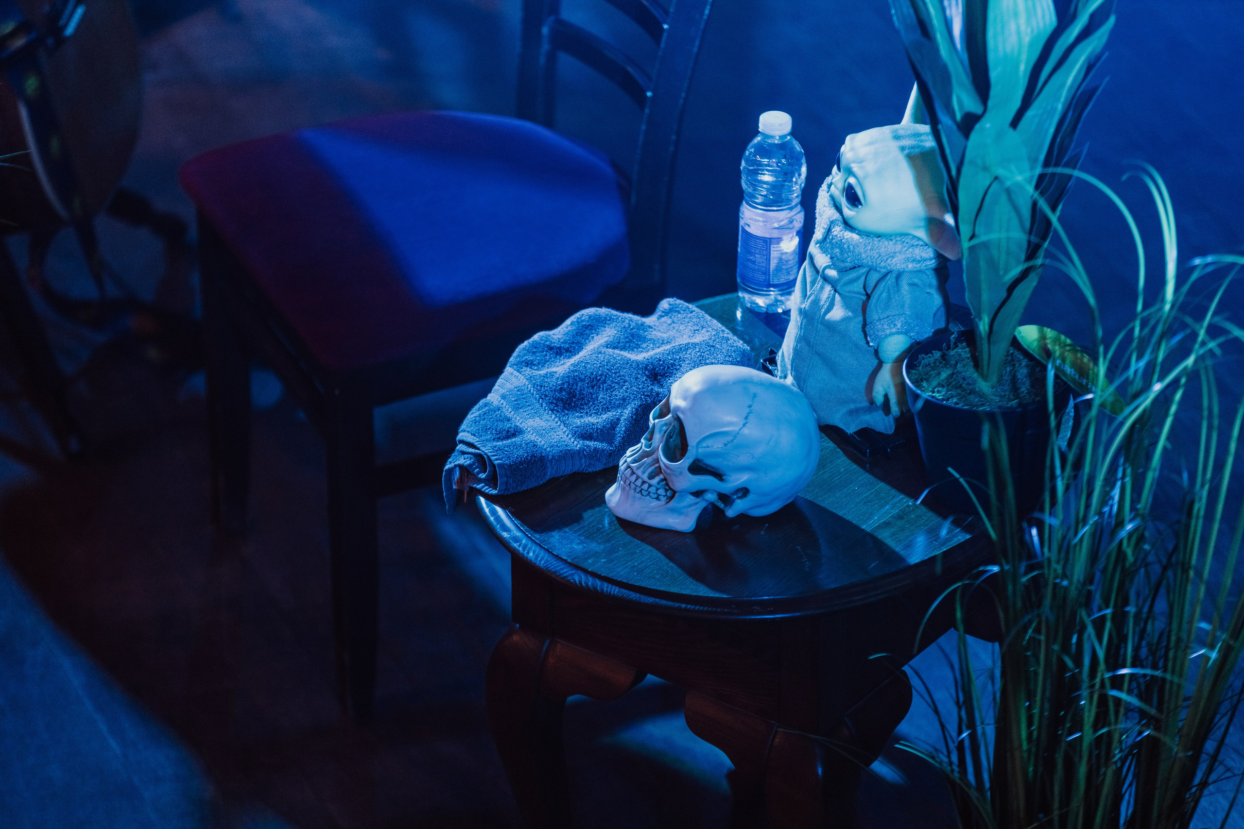 Борис Гребенщиков. Фотографии с мероприятий в Монреале