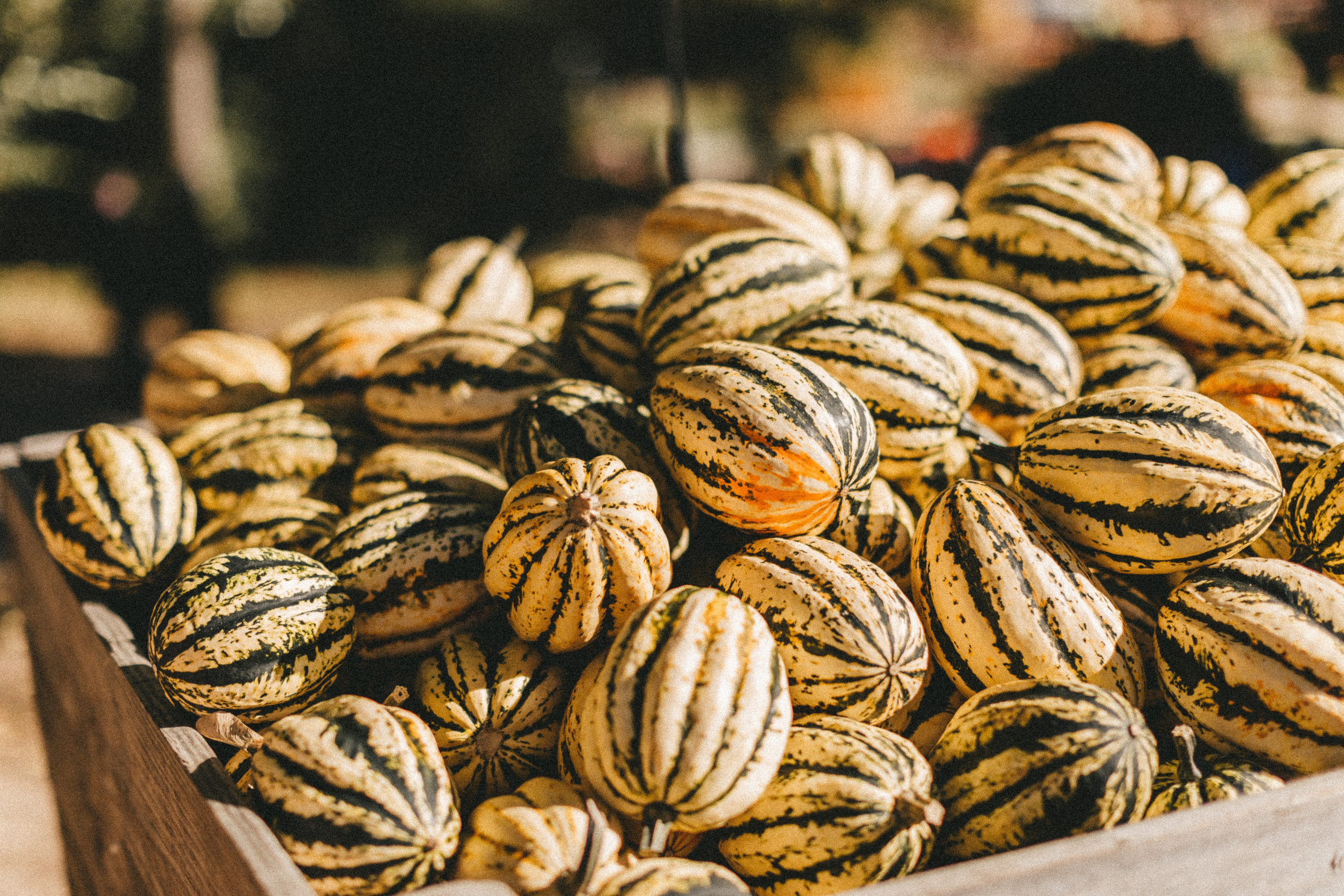 Фестиваль тыкв в Людвигсбурге. Фотограф в Германии — Мария Чистякова