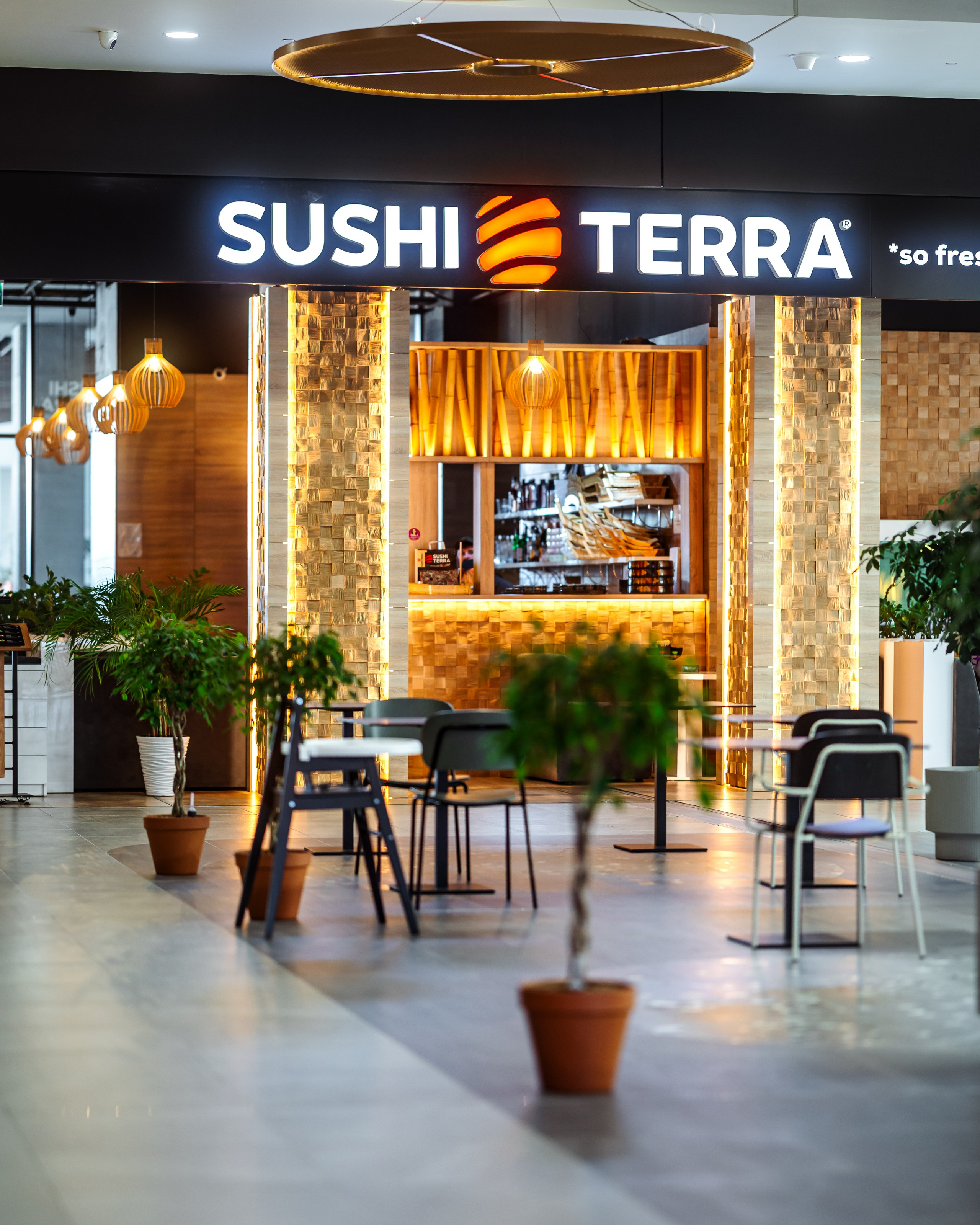Sushi Terra. Marius Ciocan