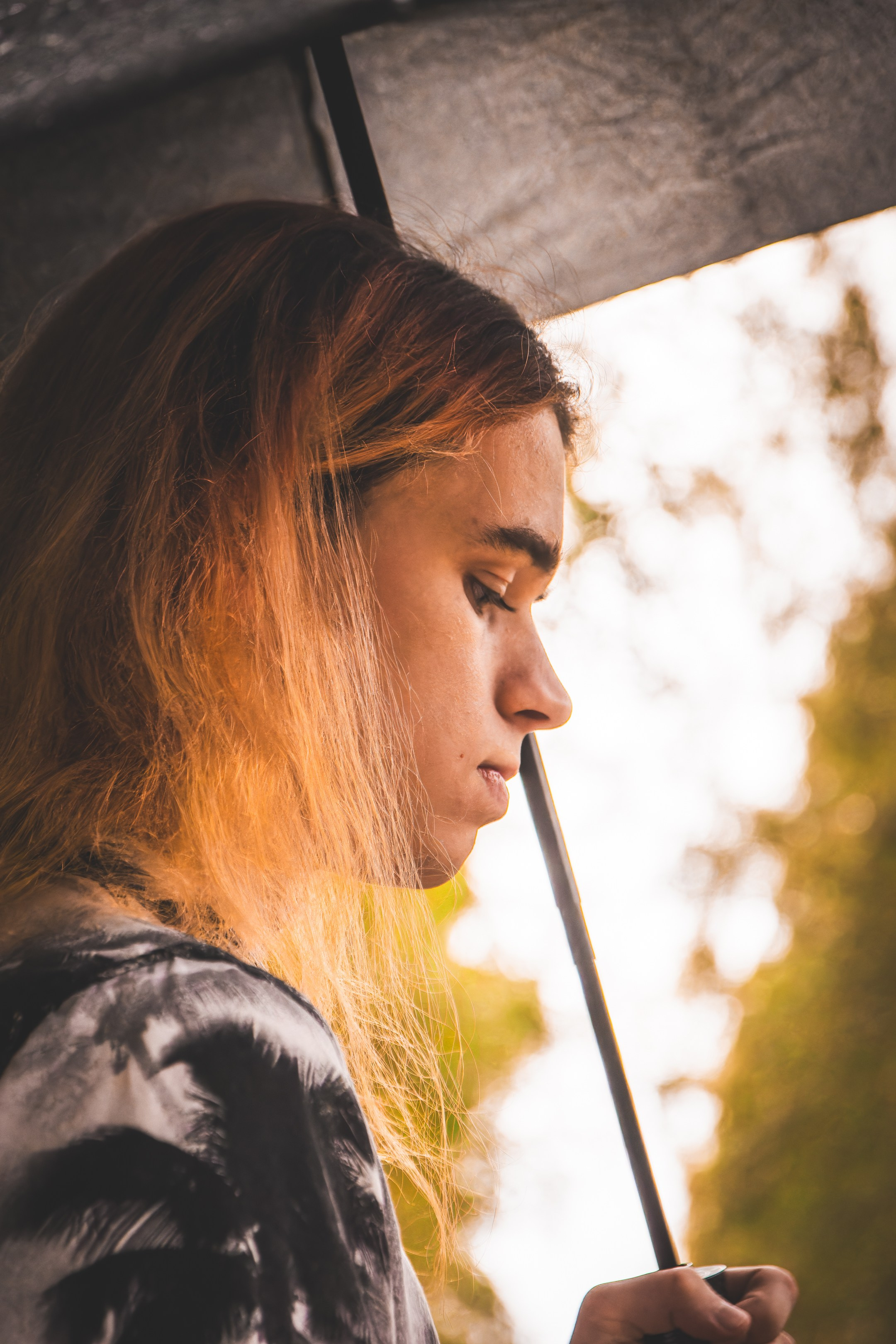 Mets, vihm ja jahedus (Dimitry). Nebula 25 — Fotod teie hingele