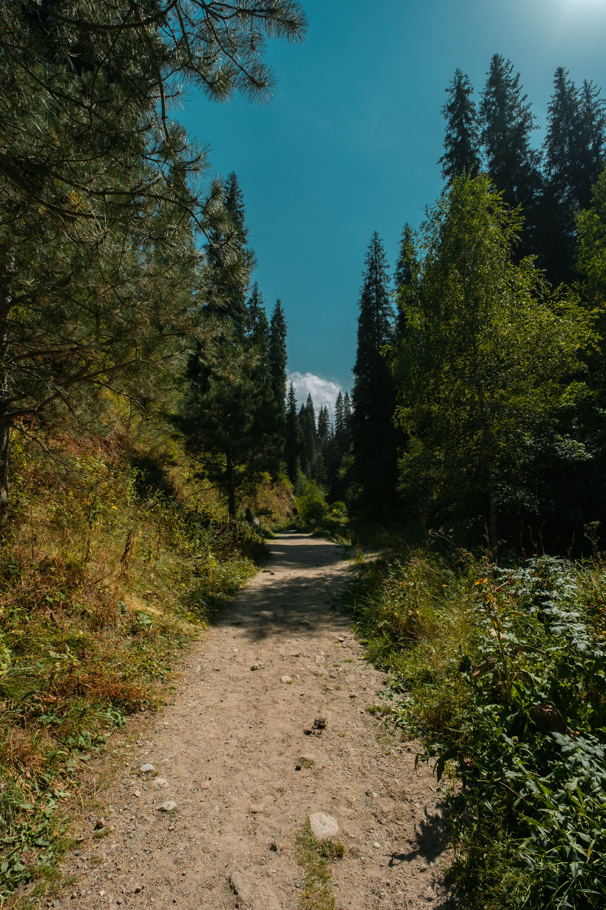 Sigma 12 mm F/1.4 DC DN Contemporary. Фотограф Григорий Кравец