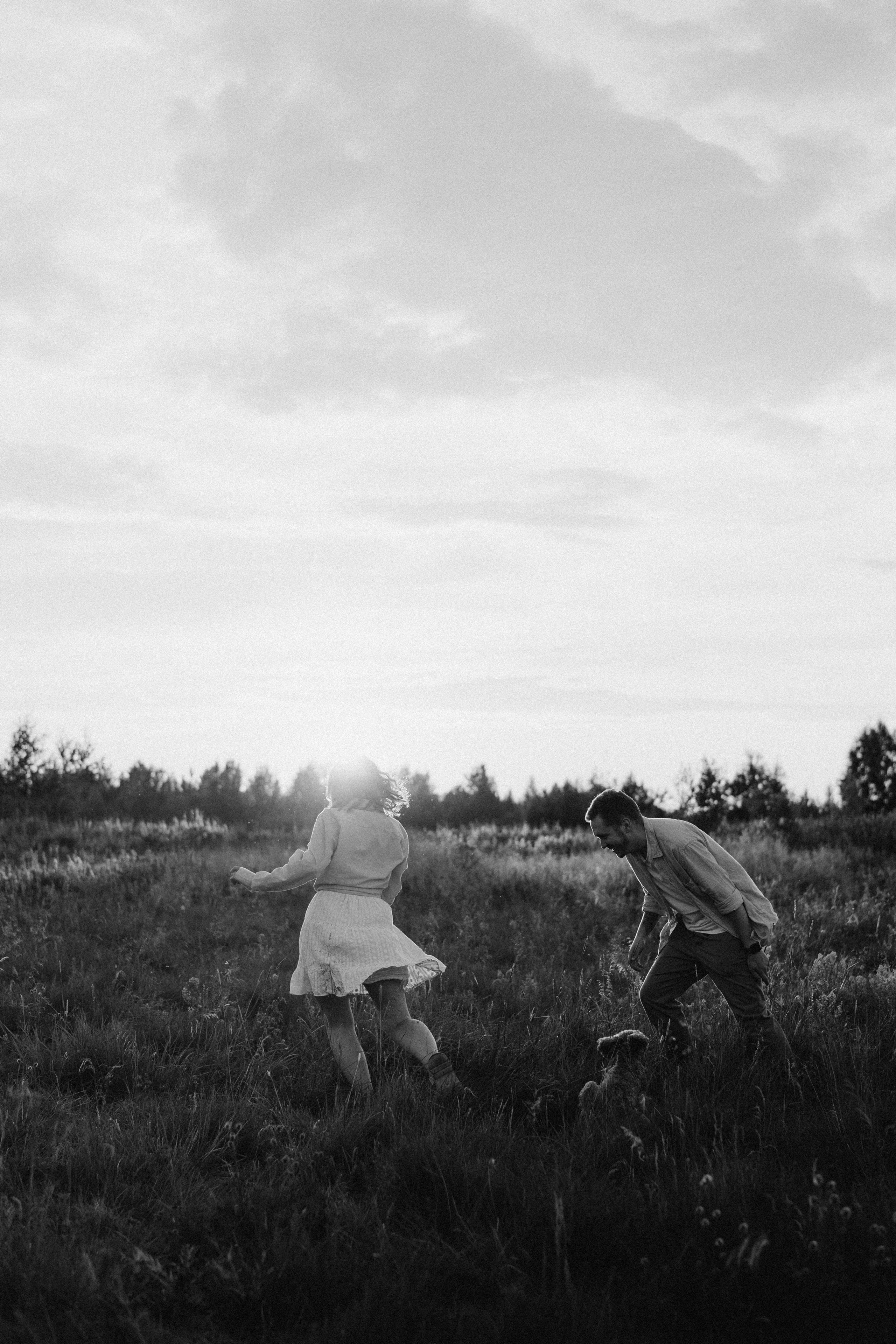 A Sunset Story in the Lupine Fields. Evgeniia Pavlova Photography