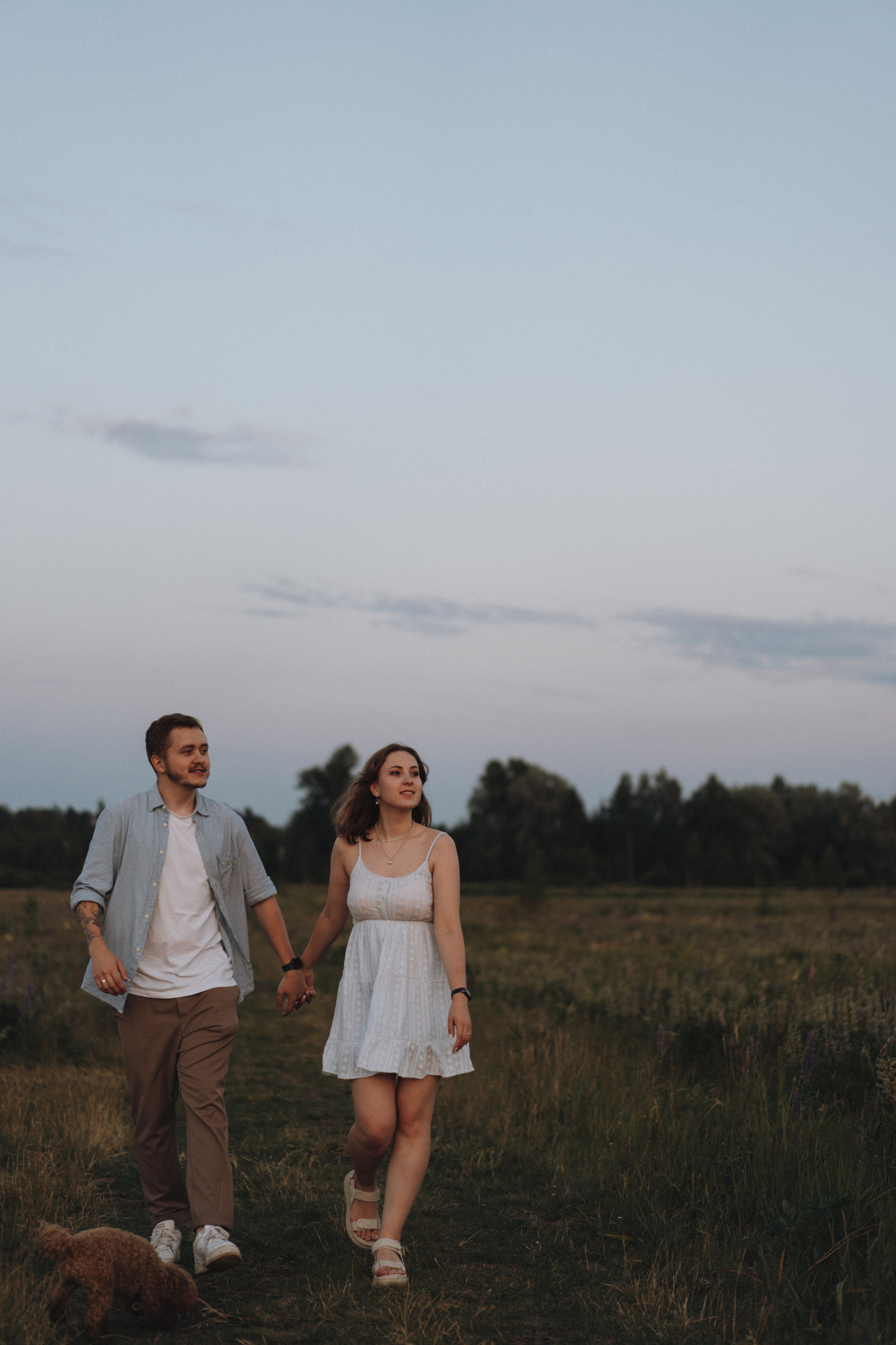 A Sunset Story in the Lupine Fields. Evgeniia Pavlova Photography