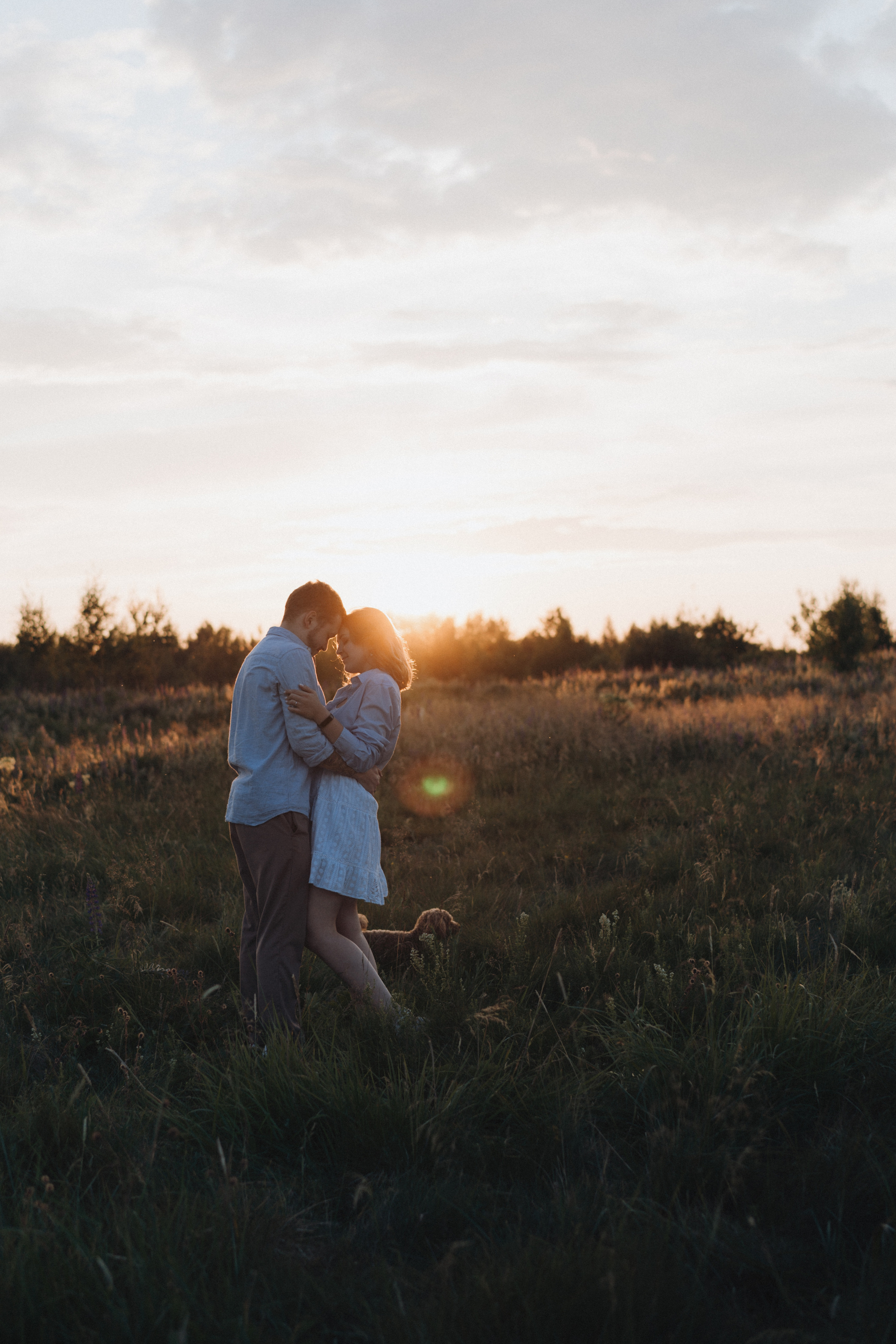 A Sunset Story in the Lupine Fields. Evgeniia Pavlova Photography
