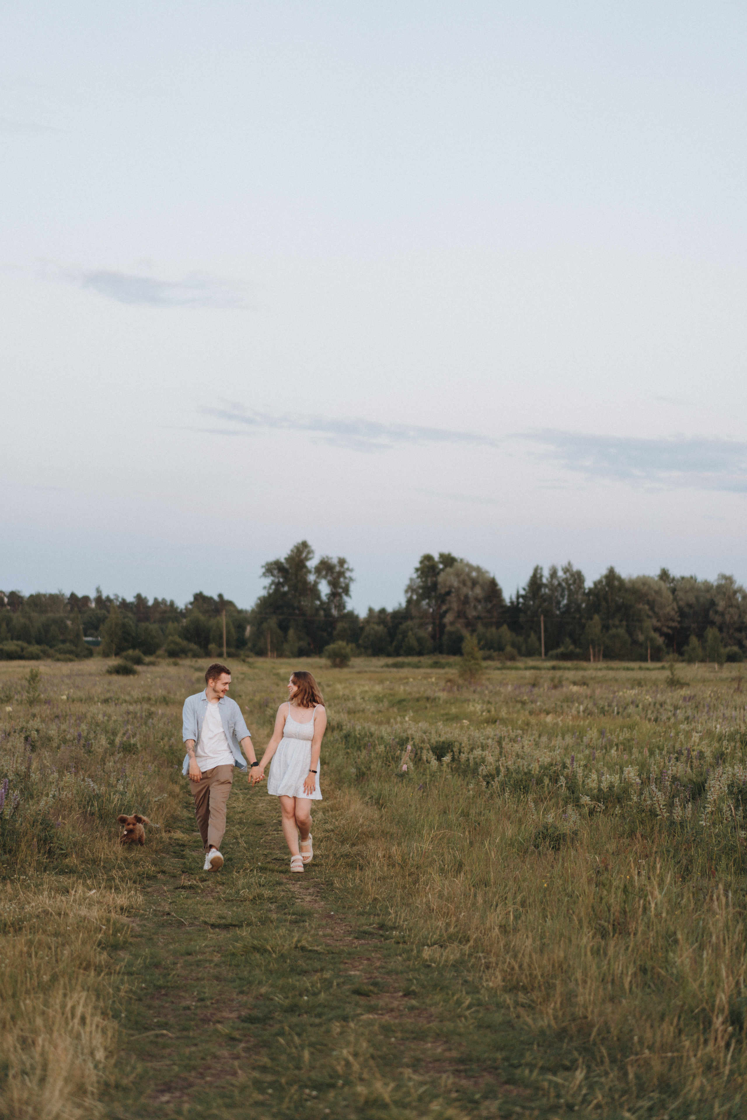 A Sunset Story in the Lupine Fields. Evgeniia Pavlova Photography