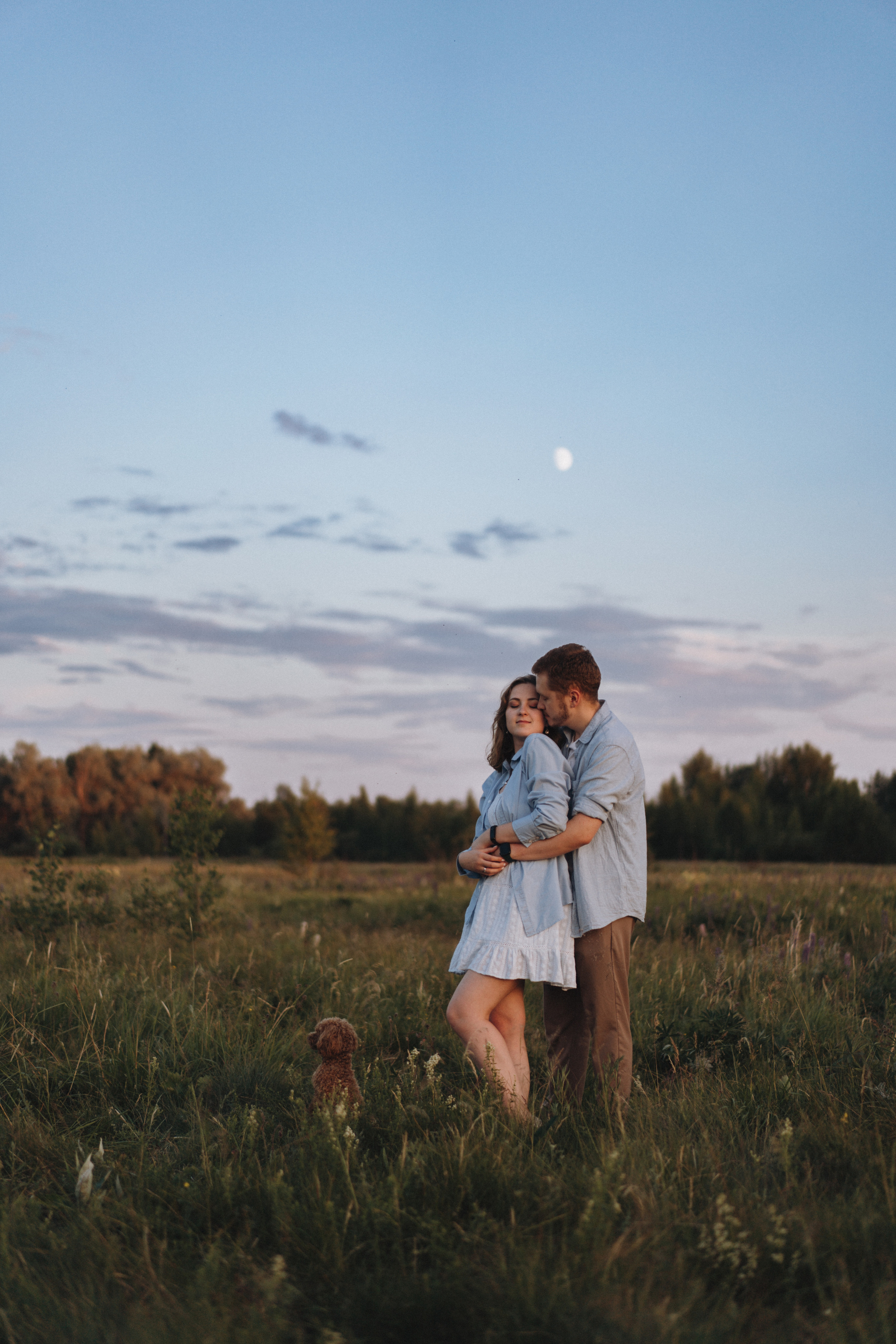 A Sunset Story in the Lupine Fields. Evgeniia Pavlova Photography