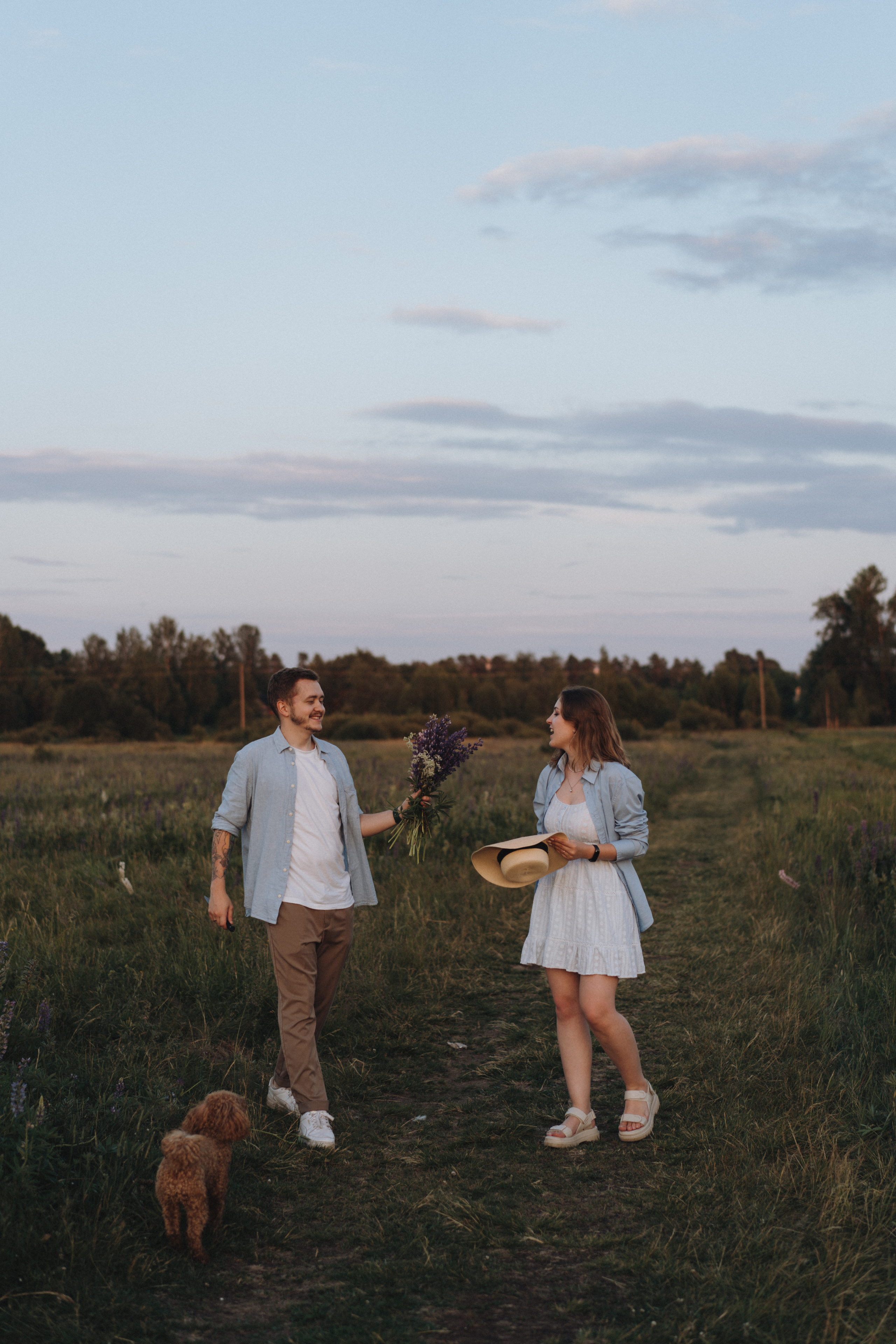 A Sunset Story in the Lupine Fields. Evgeniia Pavlova Photography