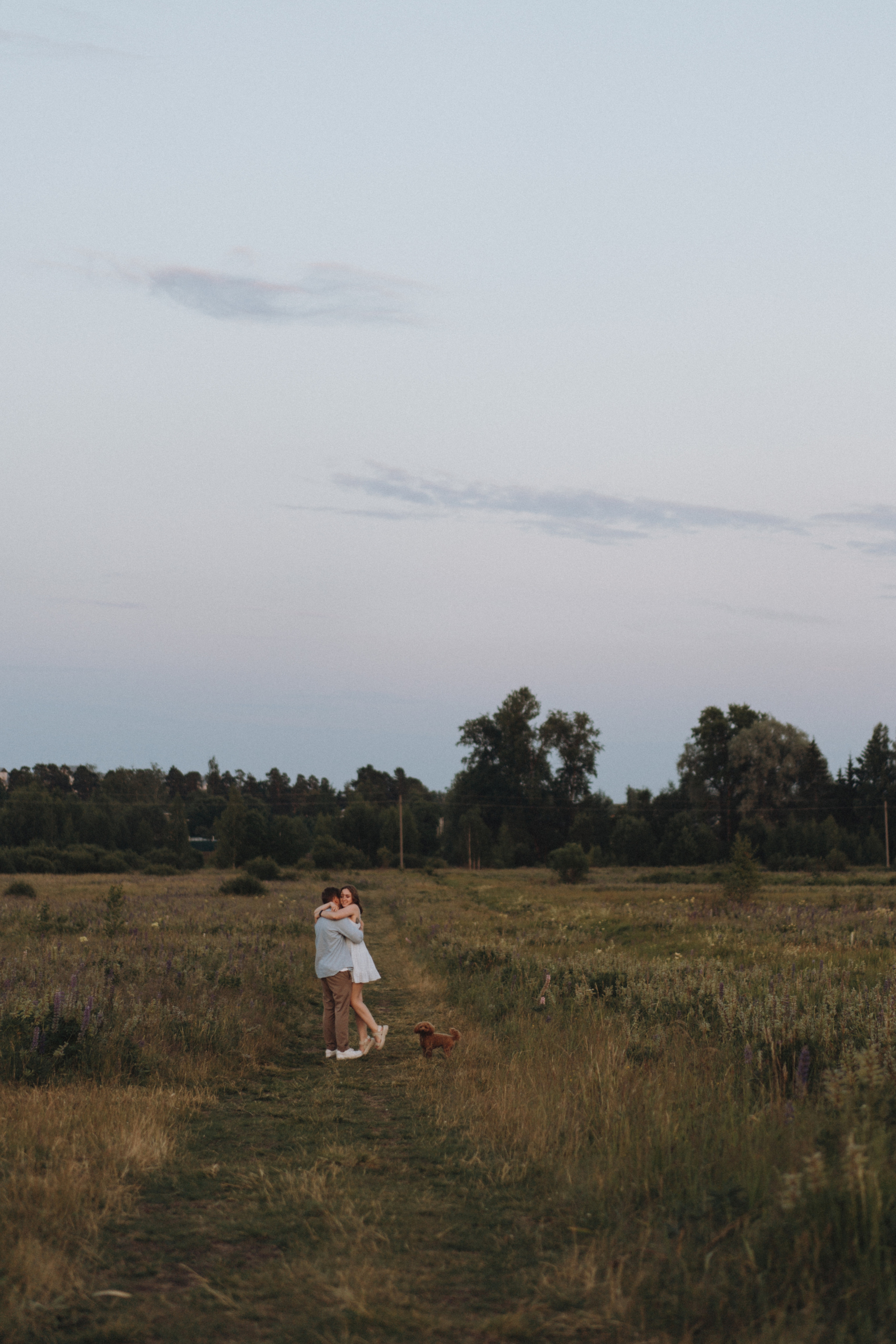 A Sunset Story in the Lupine Fields. Evgeniia Pavlova Photography