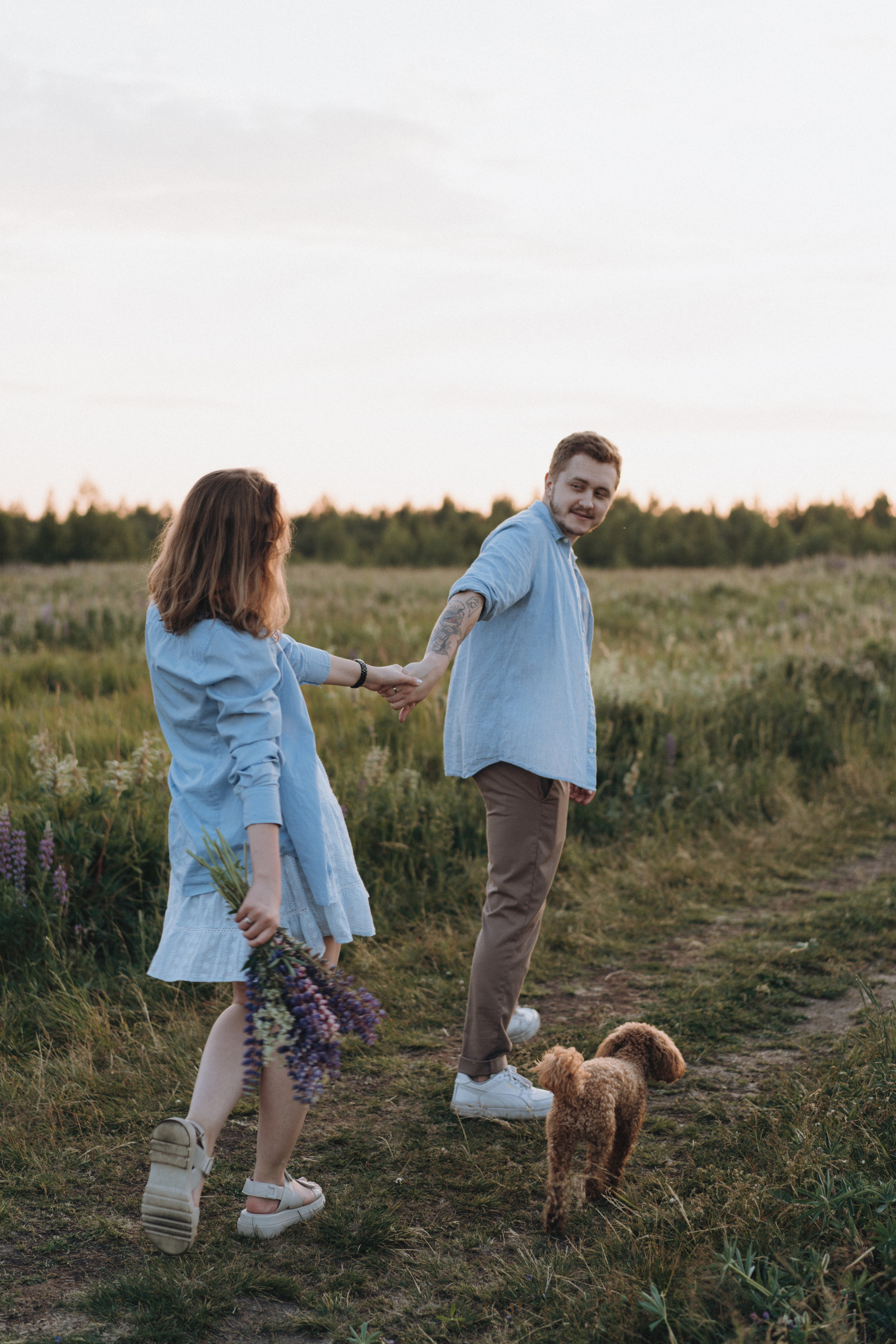 A Sunset Story in the Lupine Fields. Evgeniia Pavlova Photography