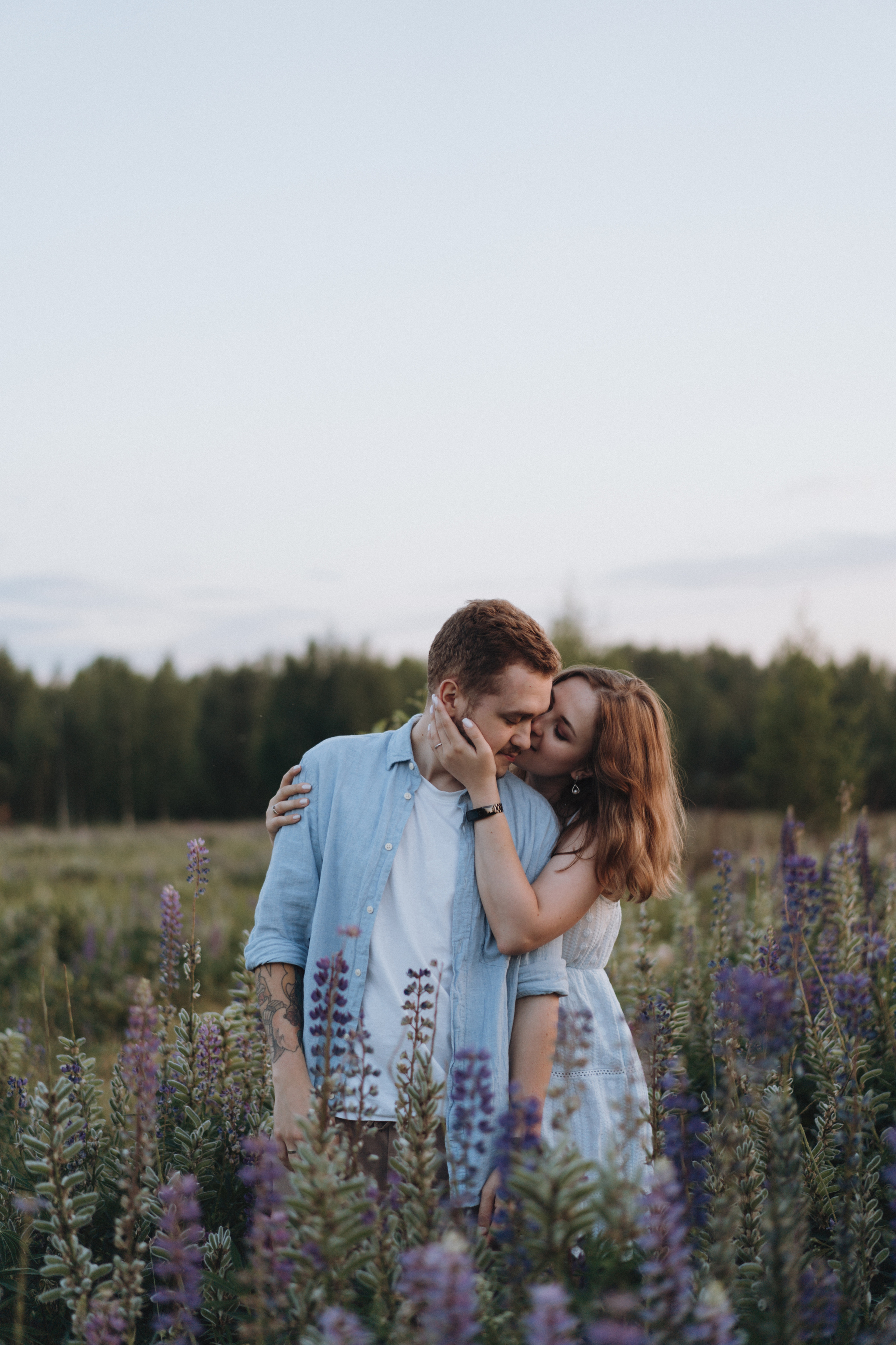 A Sunset Story in the Lupine Fields. Evgeniia Pavlova Photography
