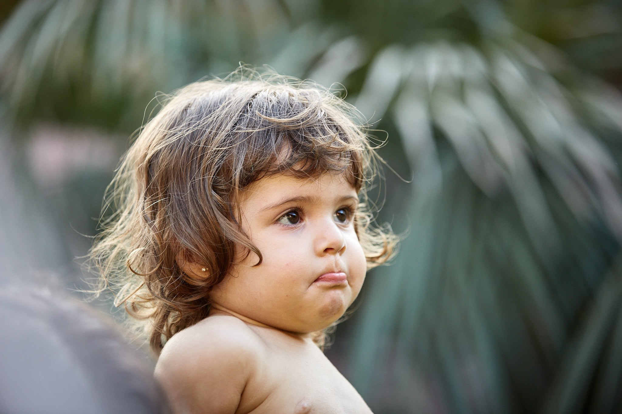 Ensaio Viviane, Sophia, Sara e Gabriel. Fotógrafo de casamentos em Florianópolis